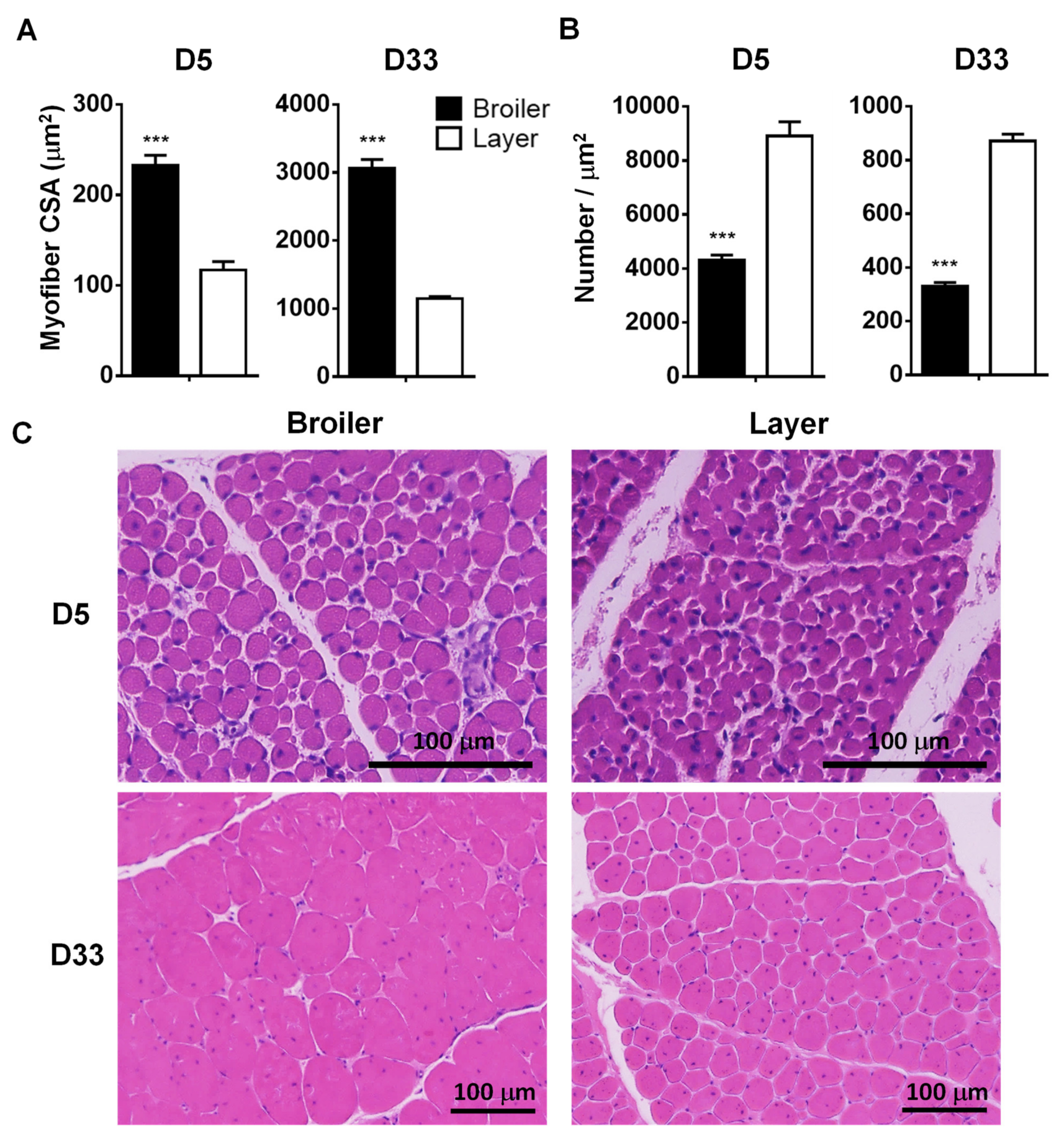 Animals 12 00539 g002