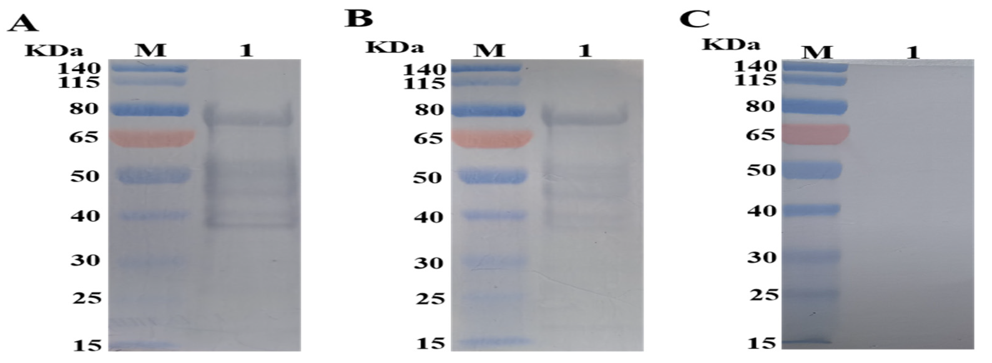 Animals 12 00556 g002 Animals 12 00556 g002