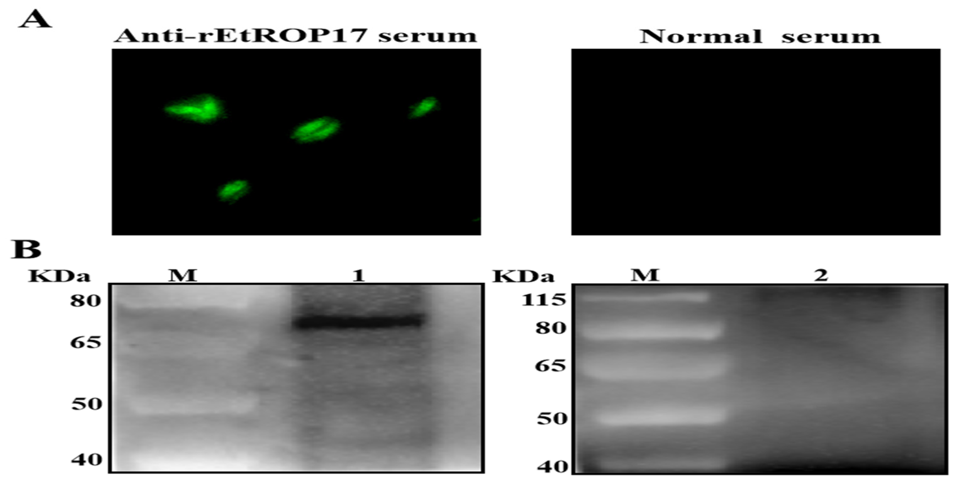 Animals 12 00556 g003 Animals 12 00556 g003