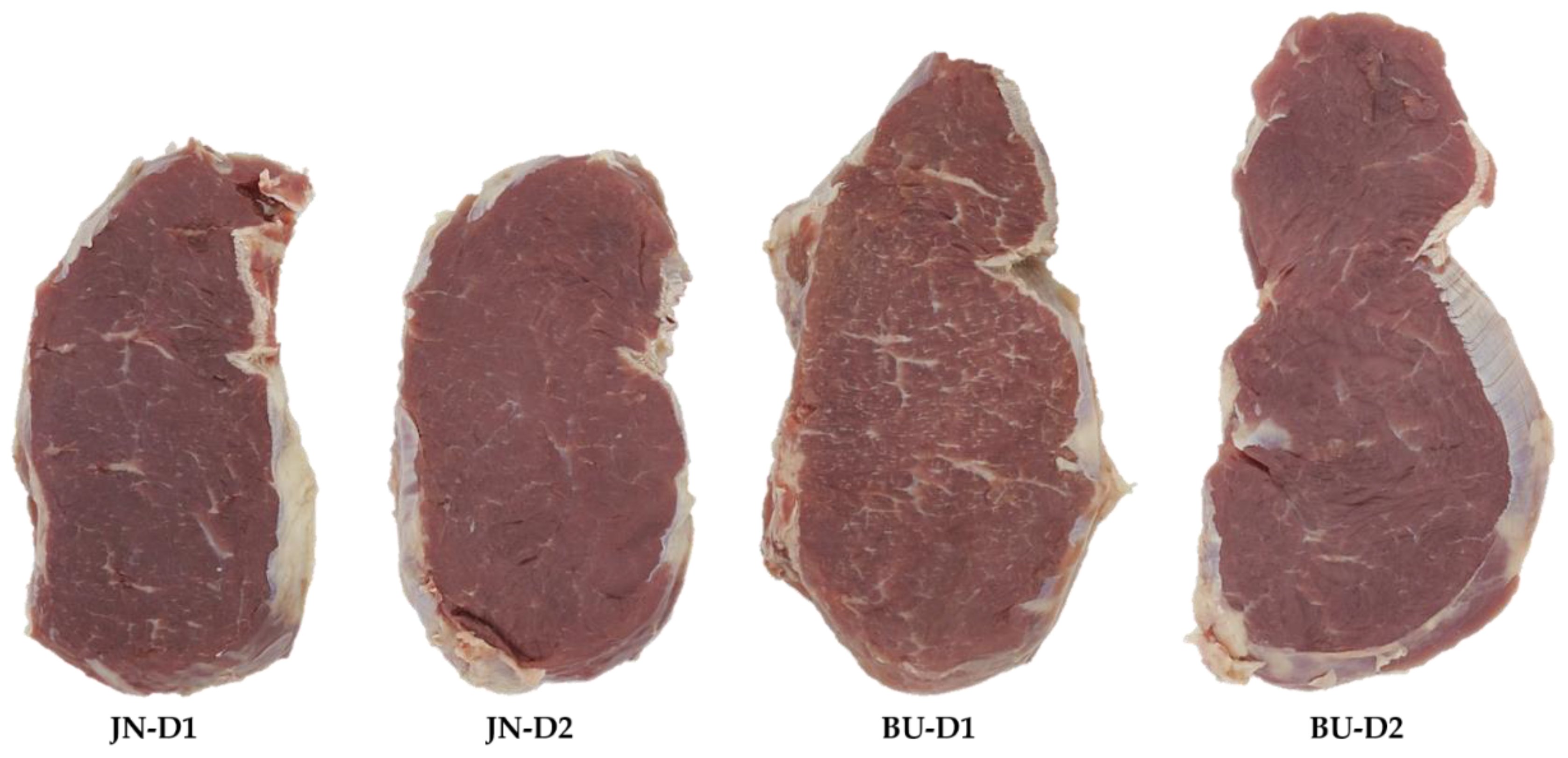 Animals 12 00568 g001