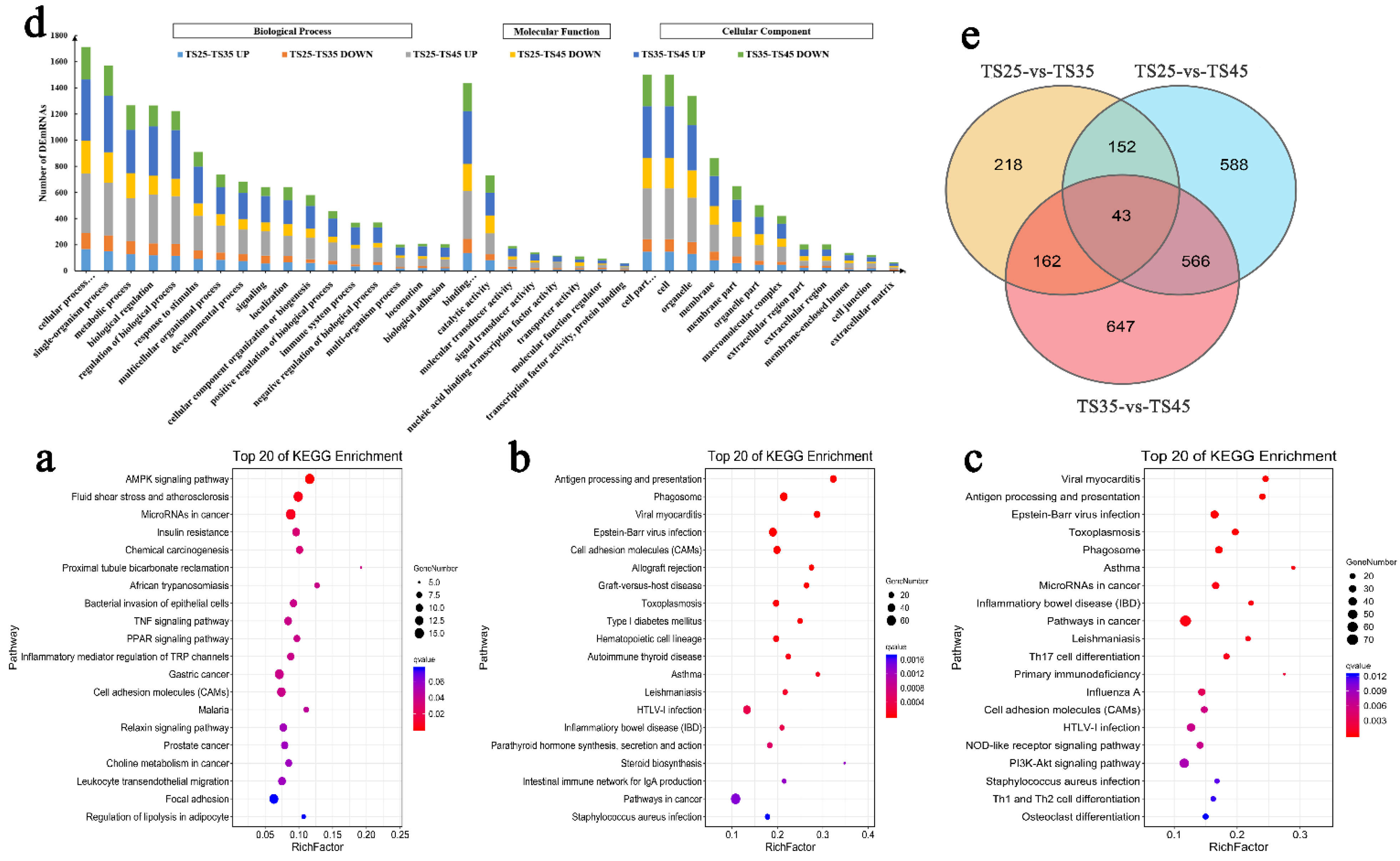 Animals 12 00583 g004