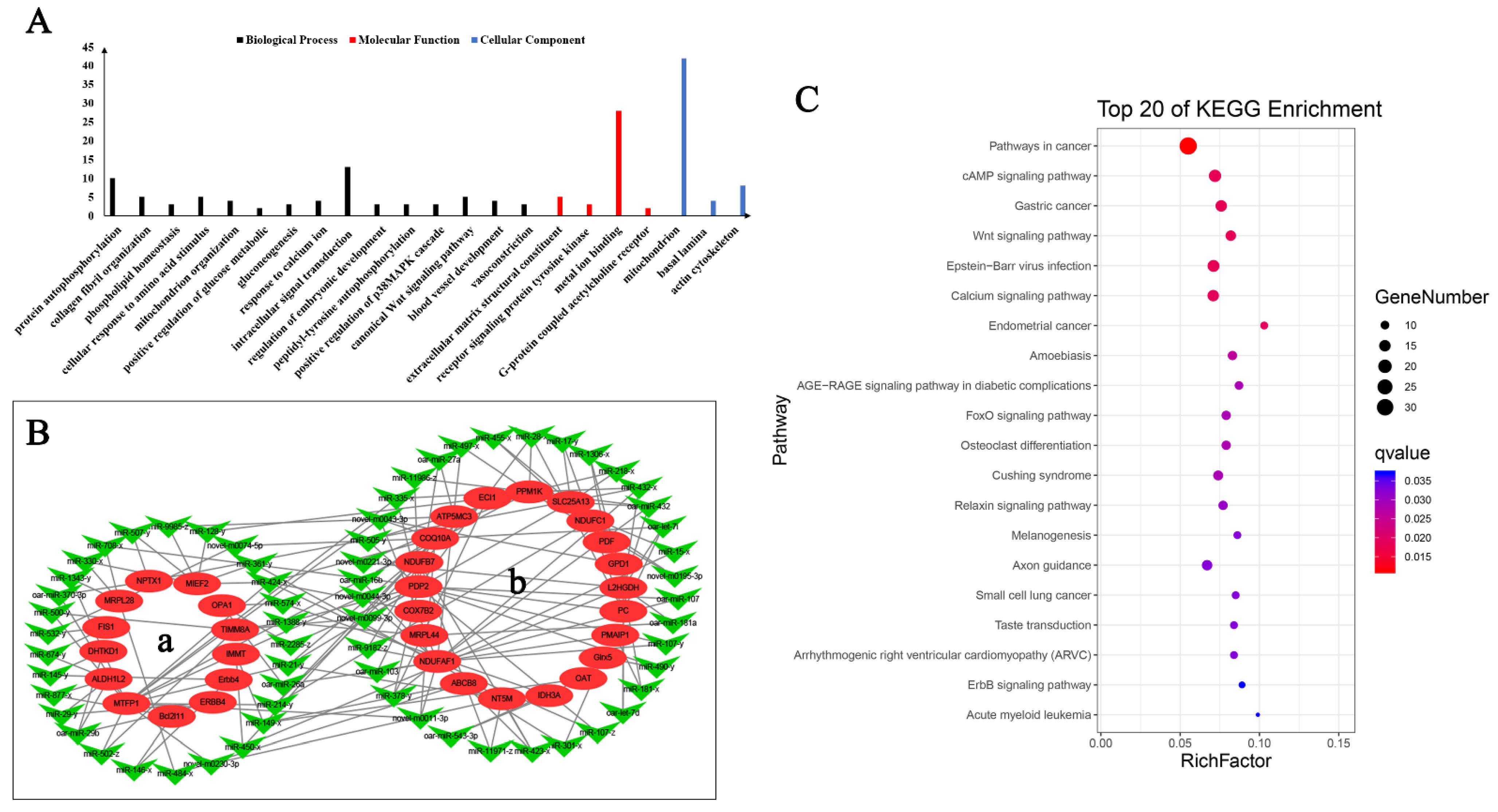 Animals 12 00583 g005