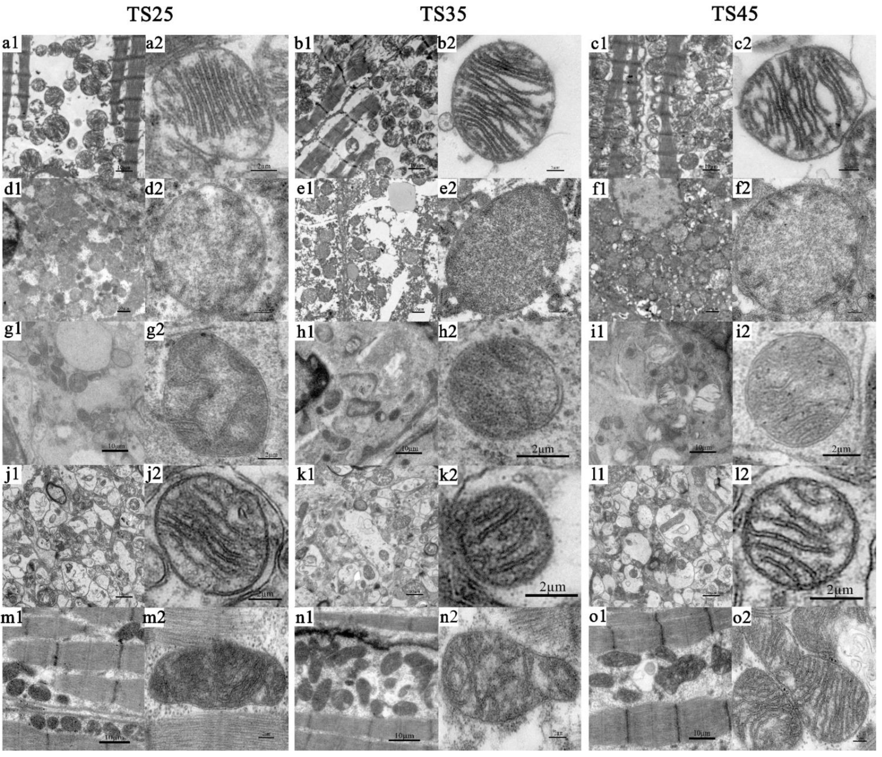 Animals 12 00583 g008