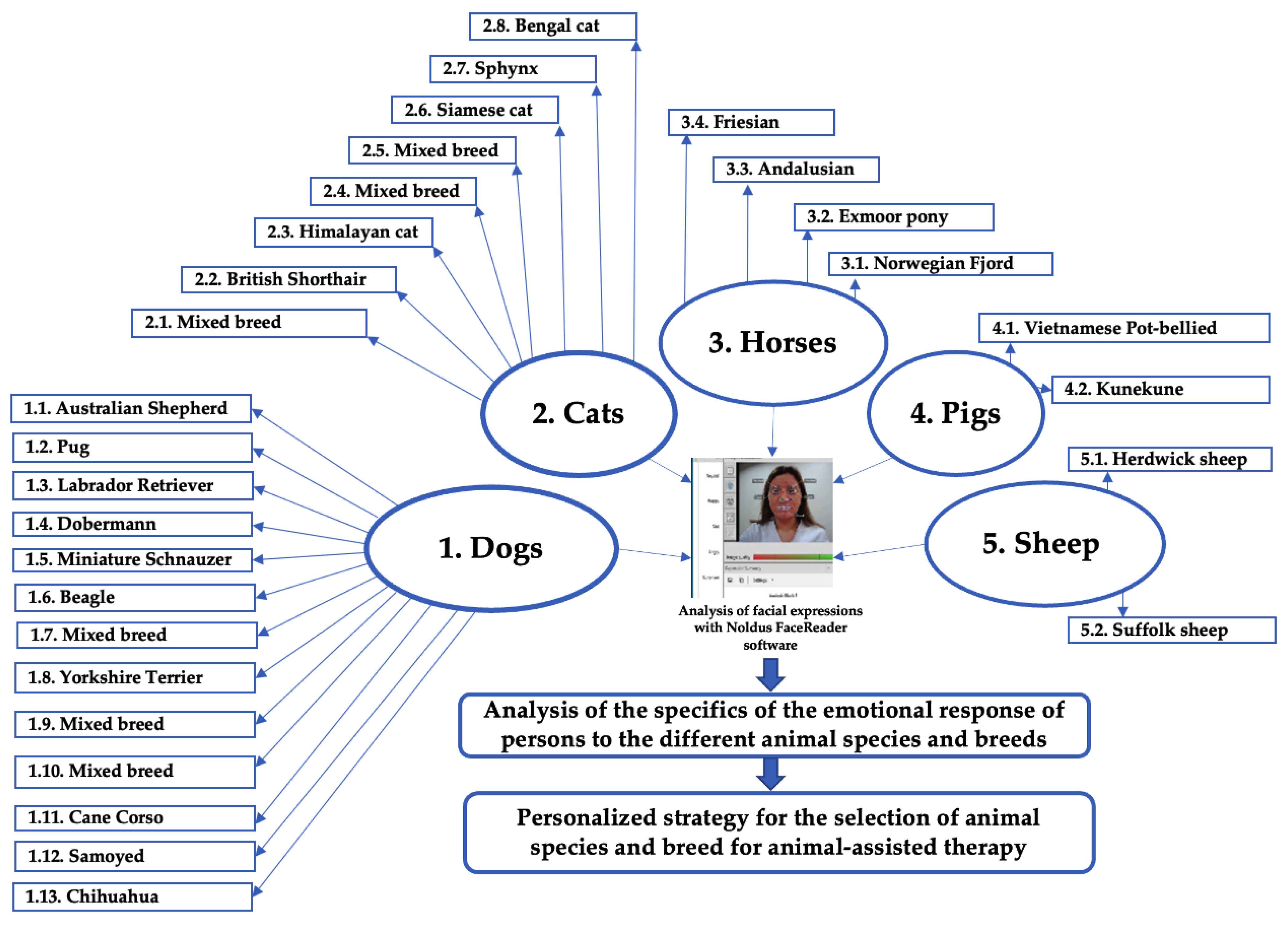 Animals 12 00597 g001