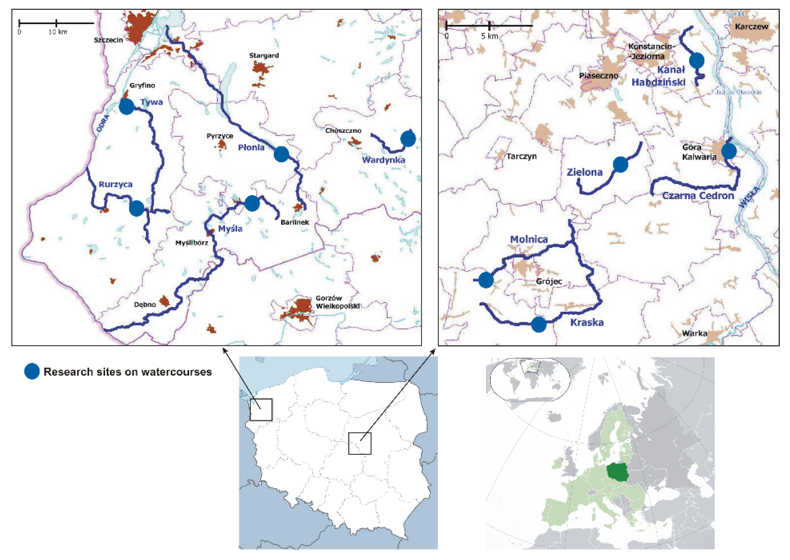 Animals 12 00606 g001