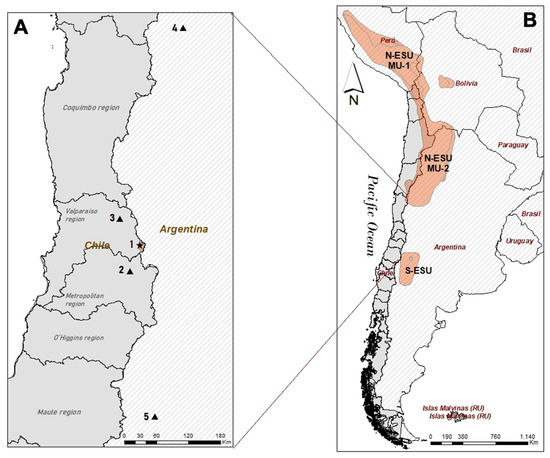 Animals 12 00639 g001 550