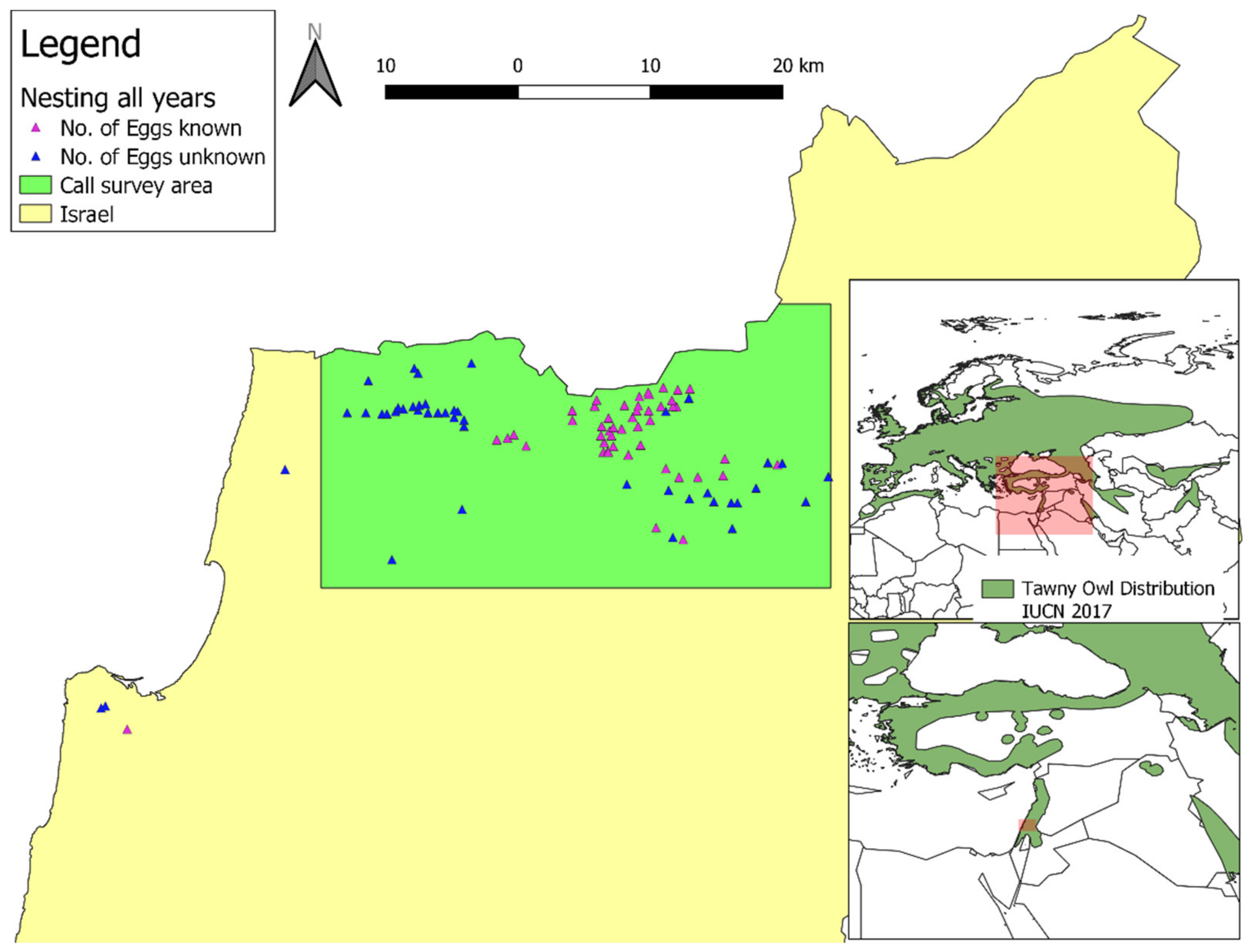 Animals 12 00641 g001