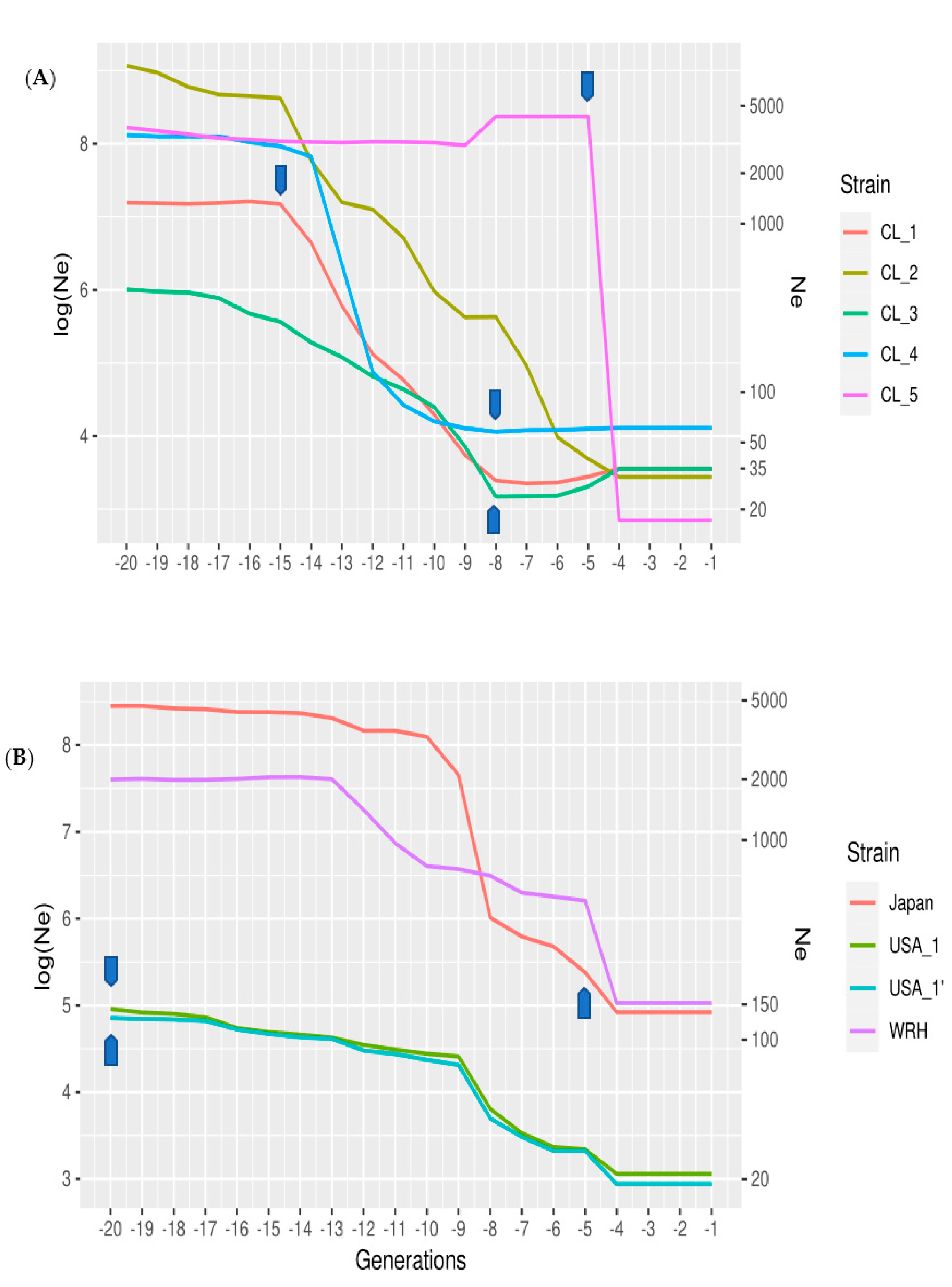 Animals 12 00647 g002