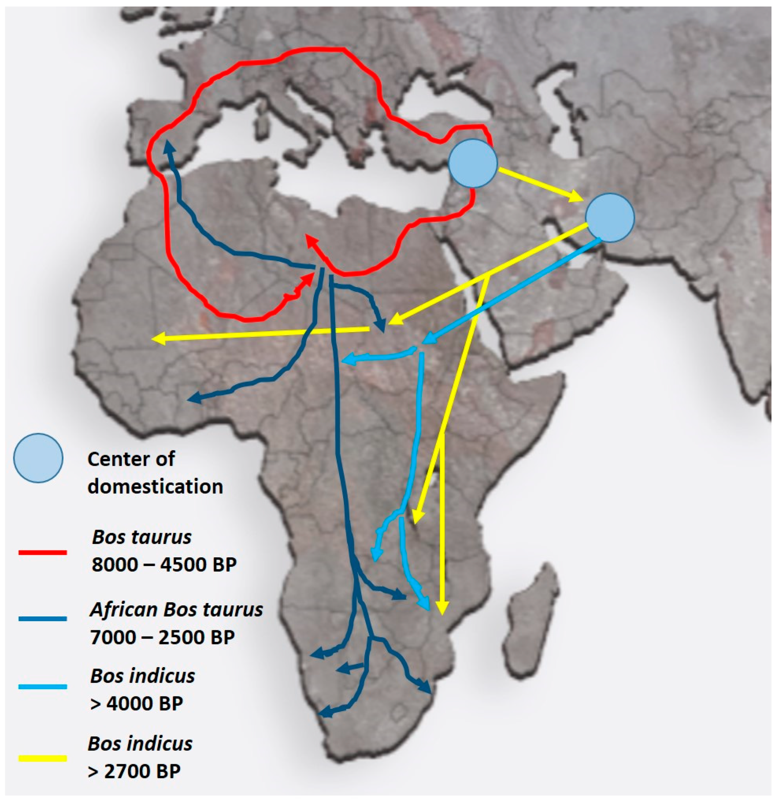 Animals 12 00657 g003