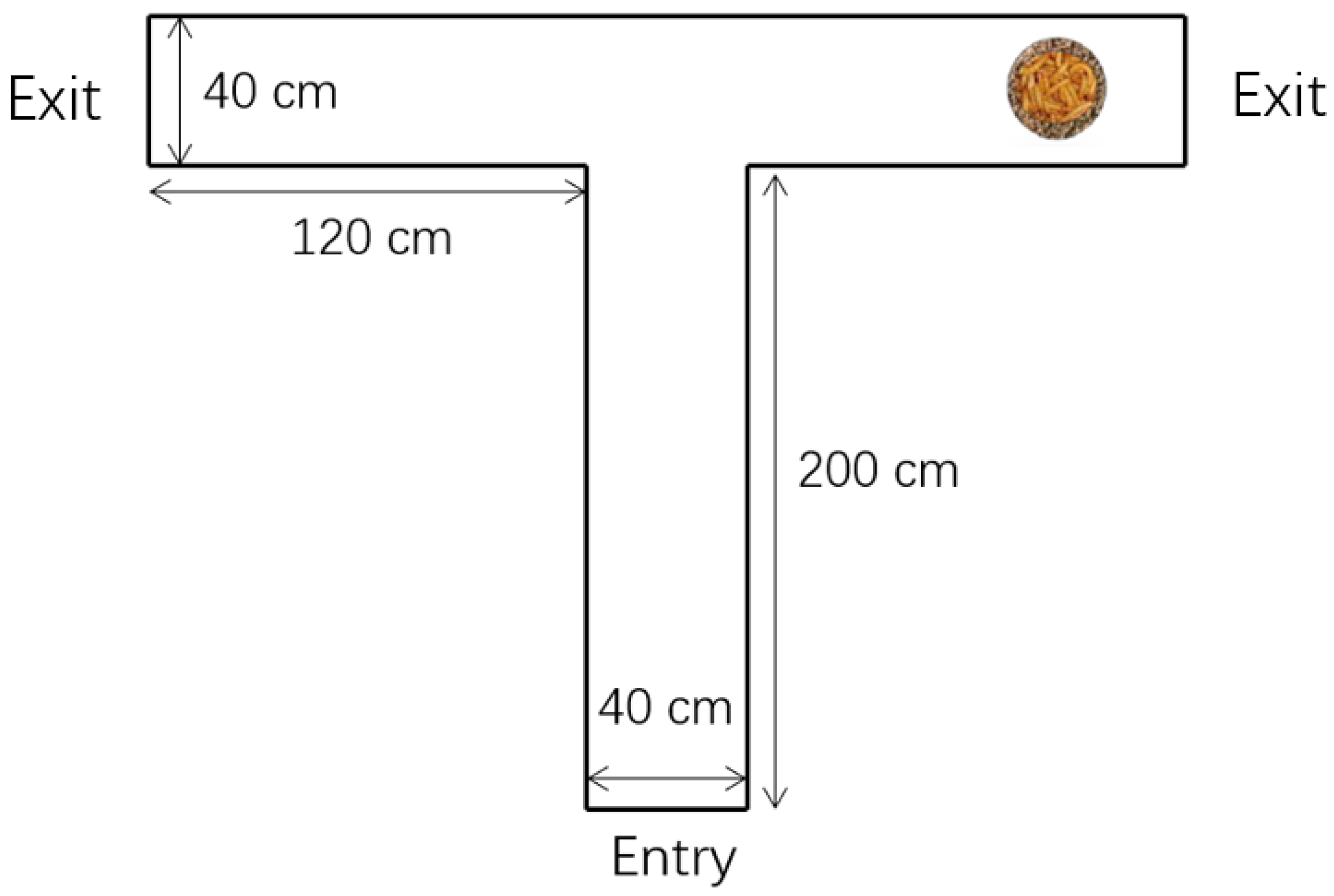 Animals 12 00668 g001