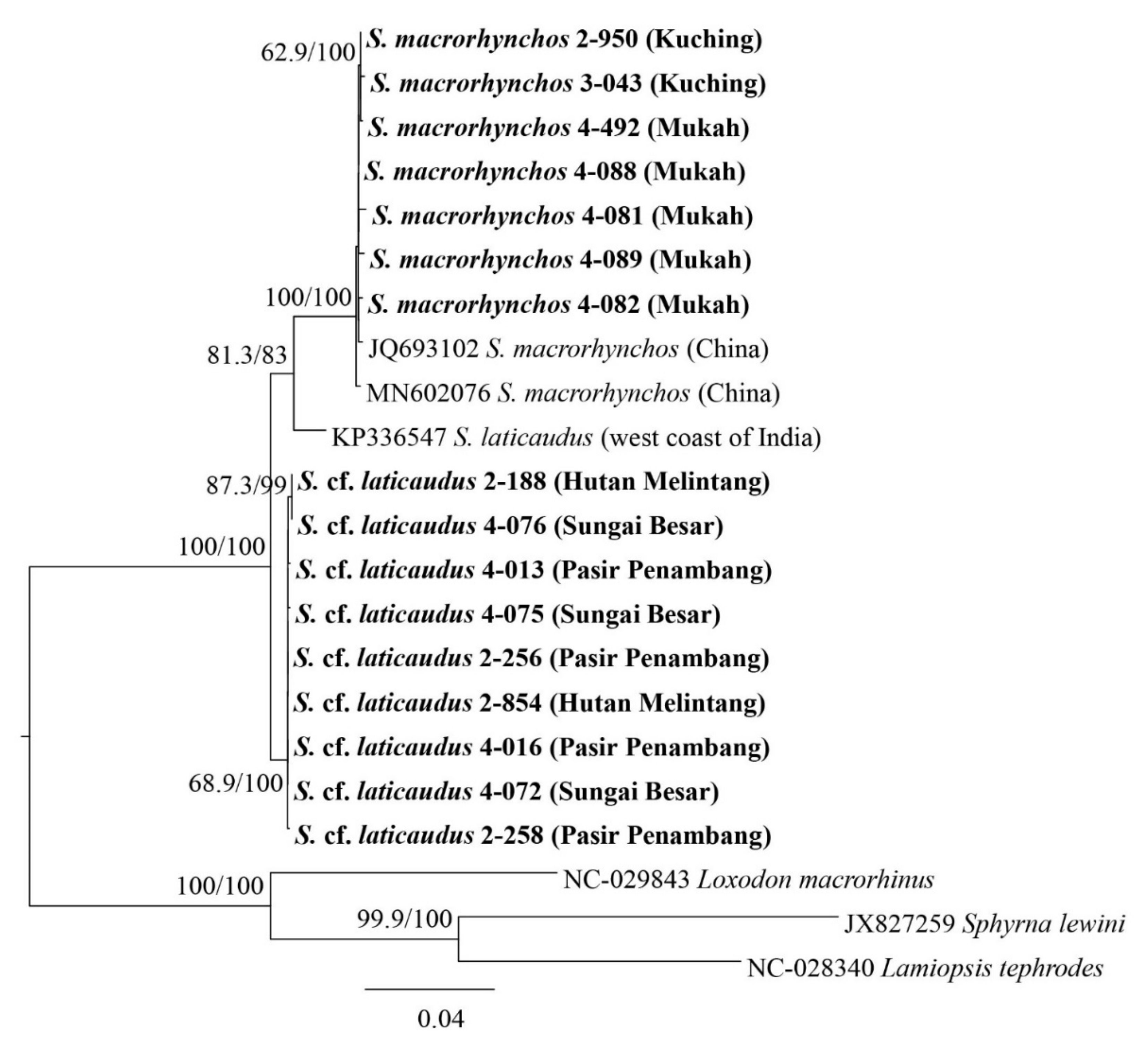 Animals 12 00681 g002 Animals 12 00681 g002