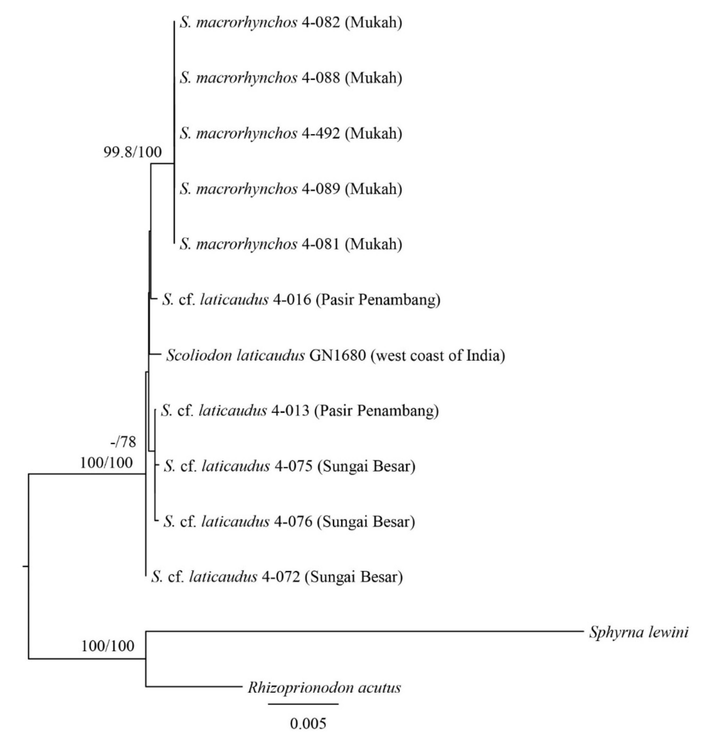 Animals 12 00681 g003 Animals 12 00681 g003