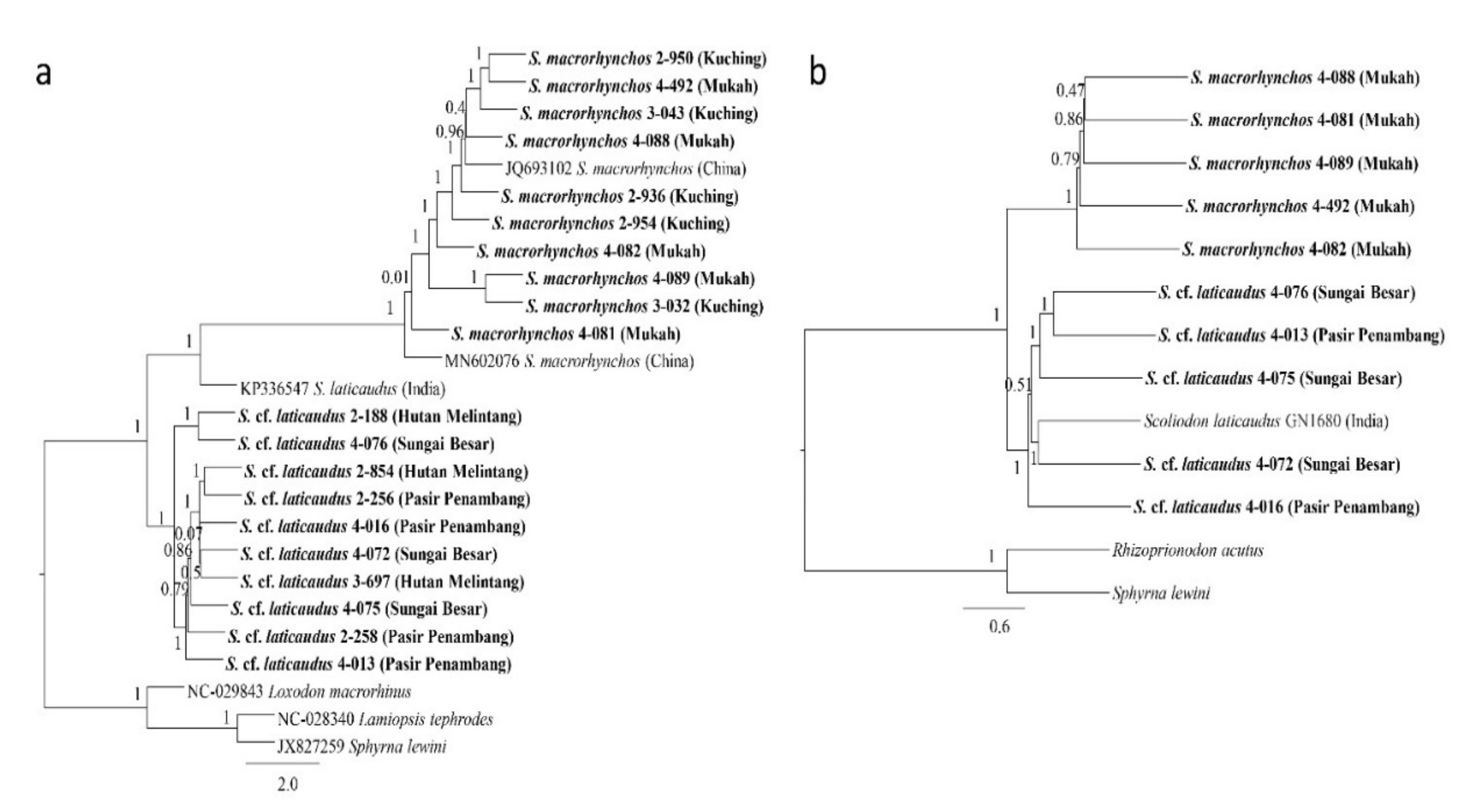 Animals 12 00681 g004 Animals 12 00681 g004
