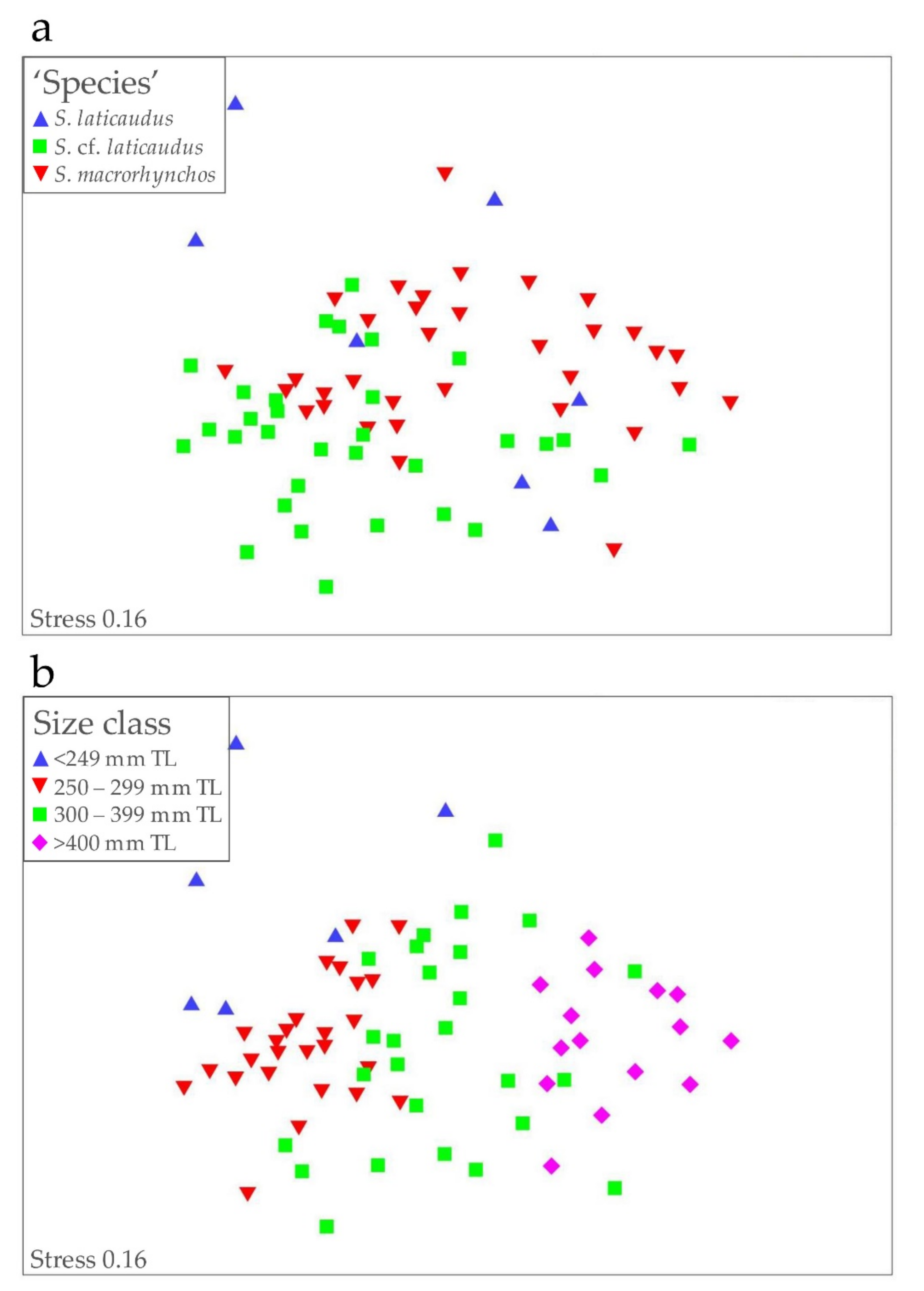 Animals 12 00681 g005 Animals 12 00681 g005