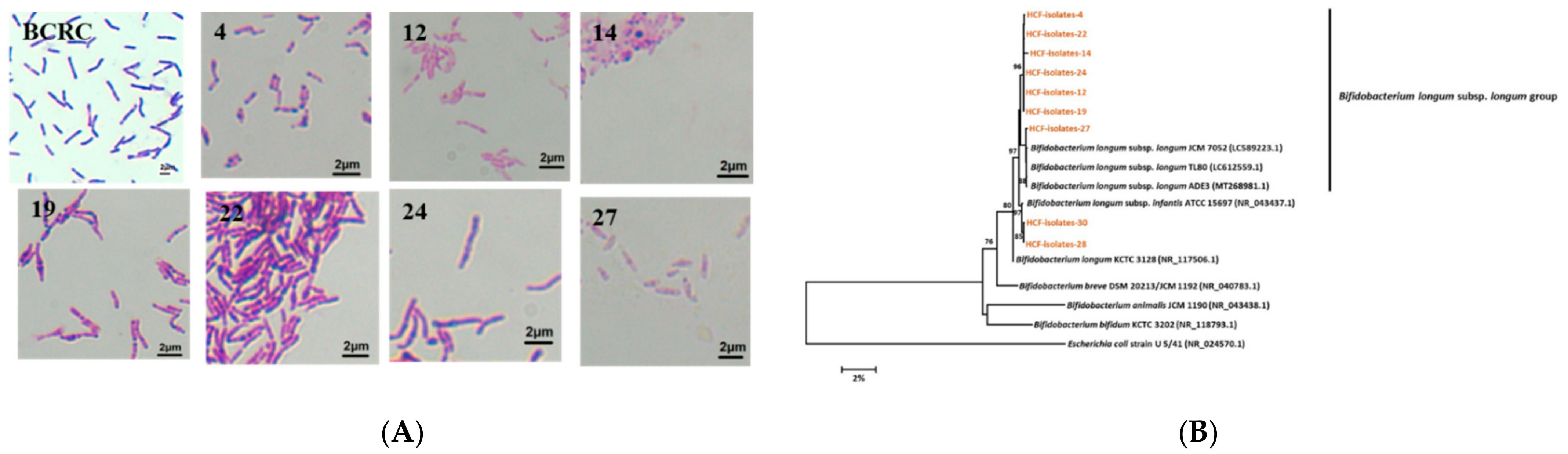 Animals 12 00695 g005