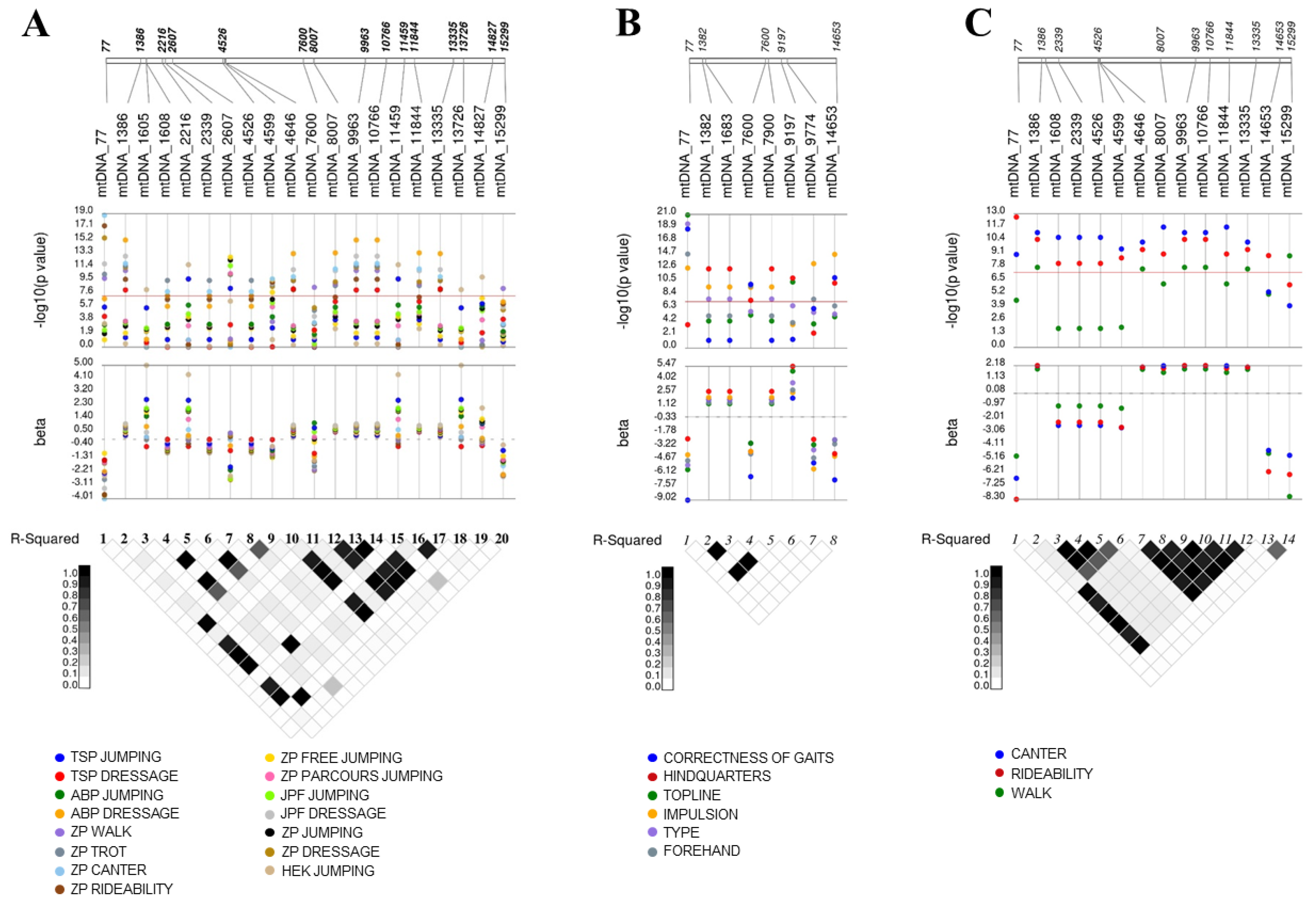 Animals 12 00704 g001