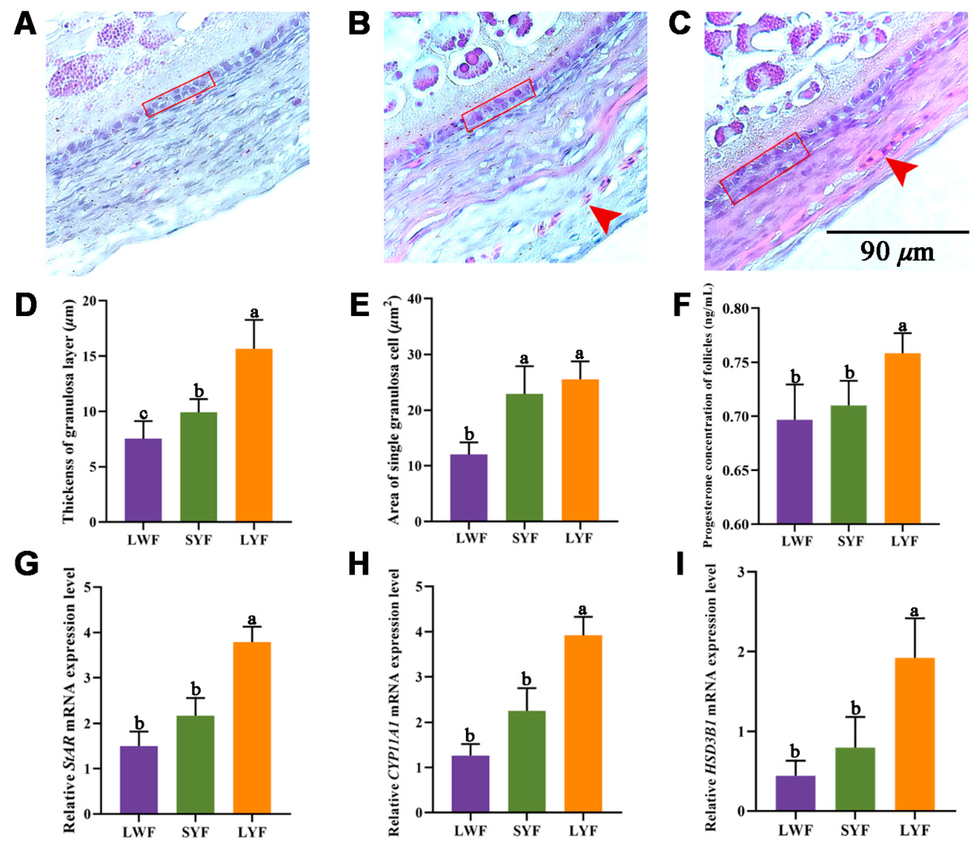 Animals 12 00713 g003
