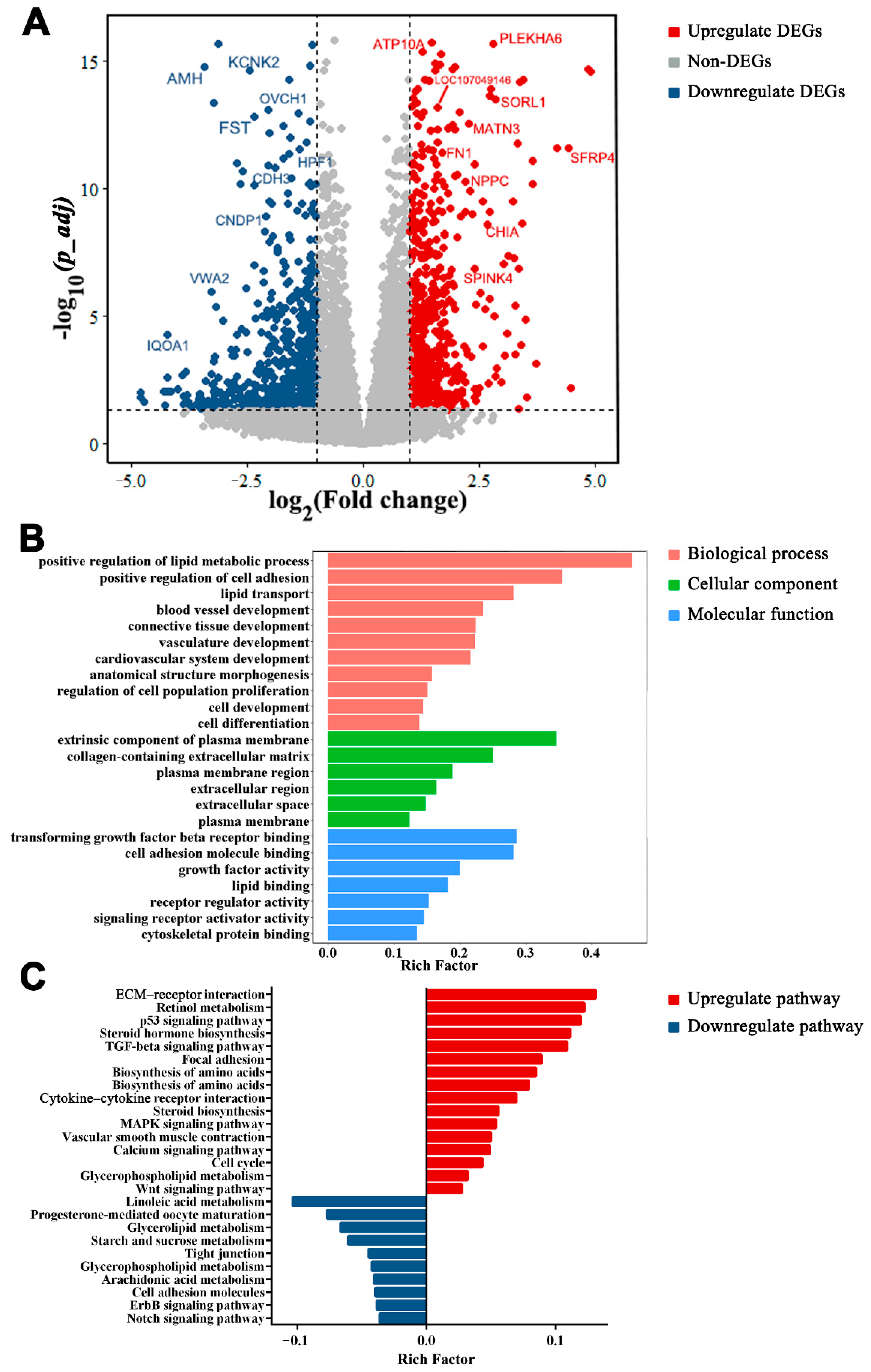 Animals 12 00713 g008