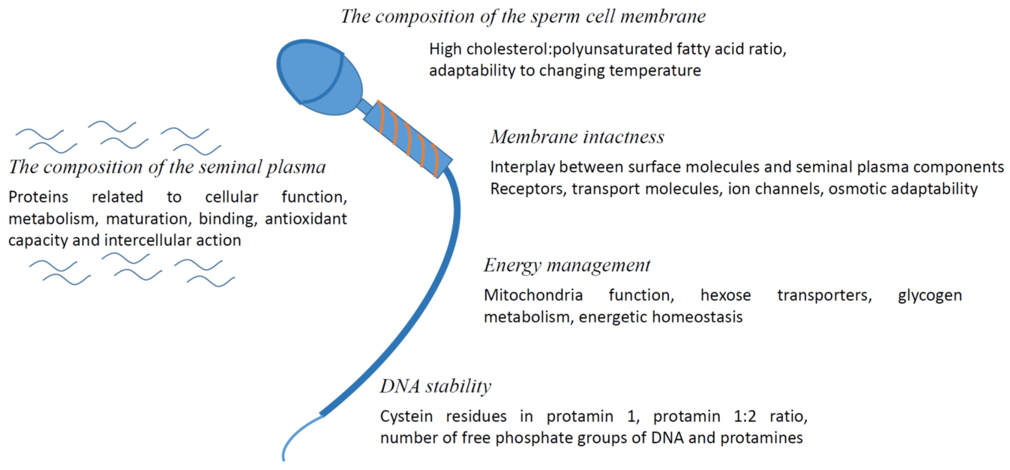 Animals 12 00733 g001 Animals 12 00733 g001