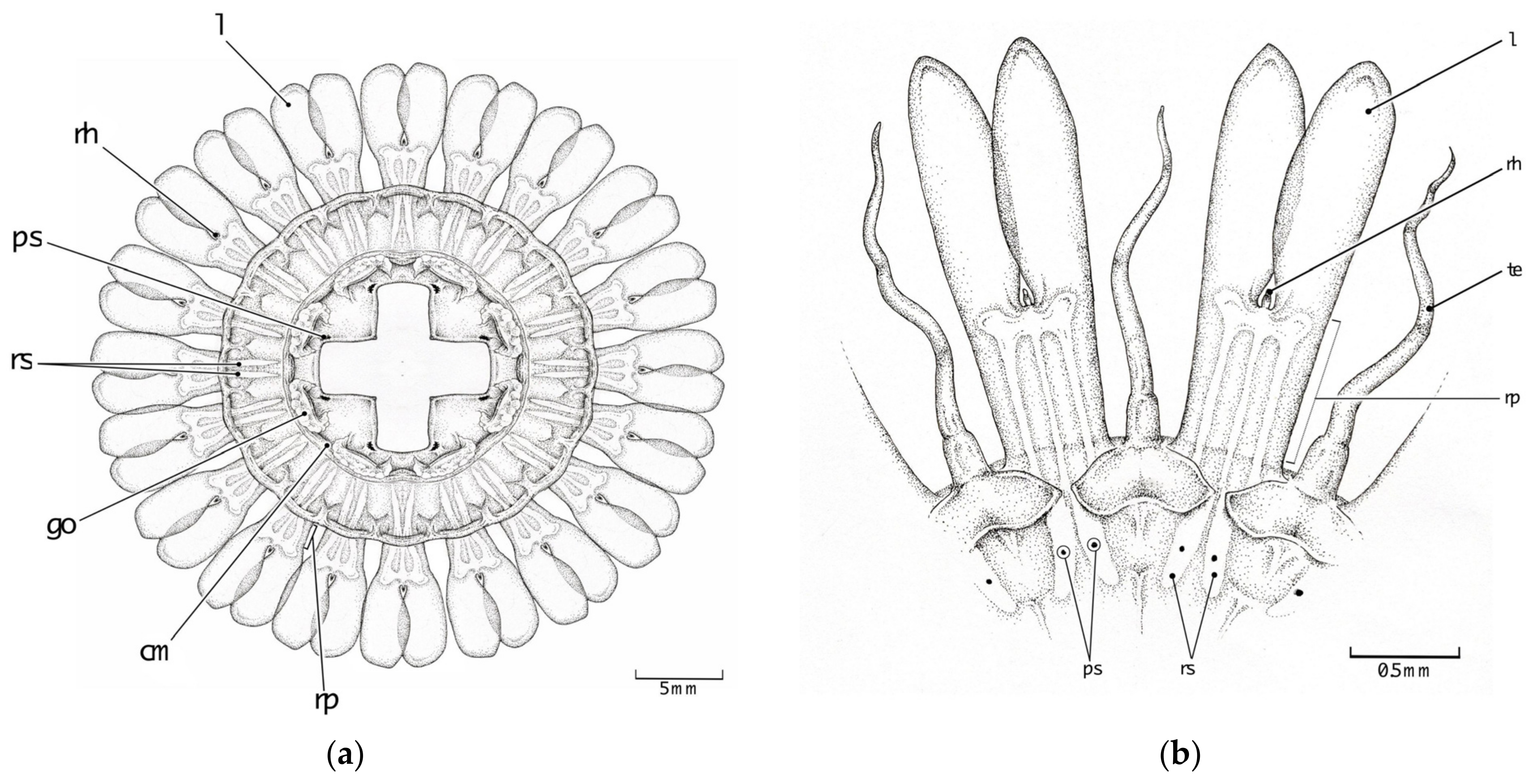 Animals 12 00742 g004