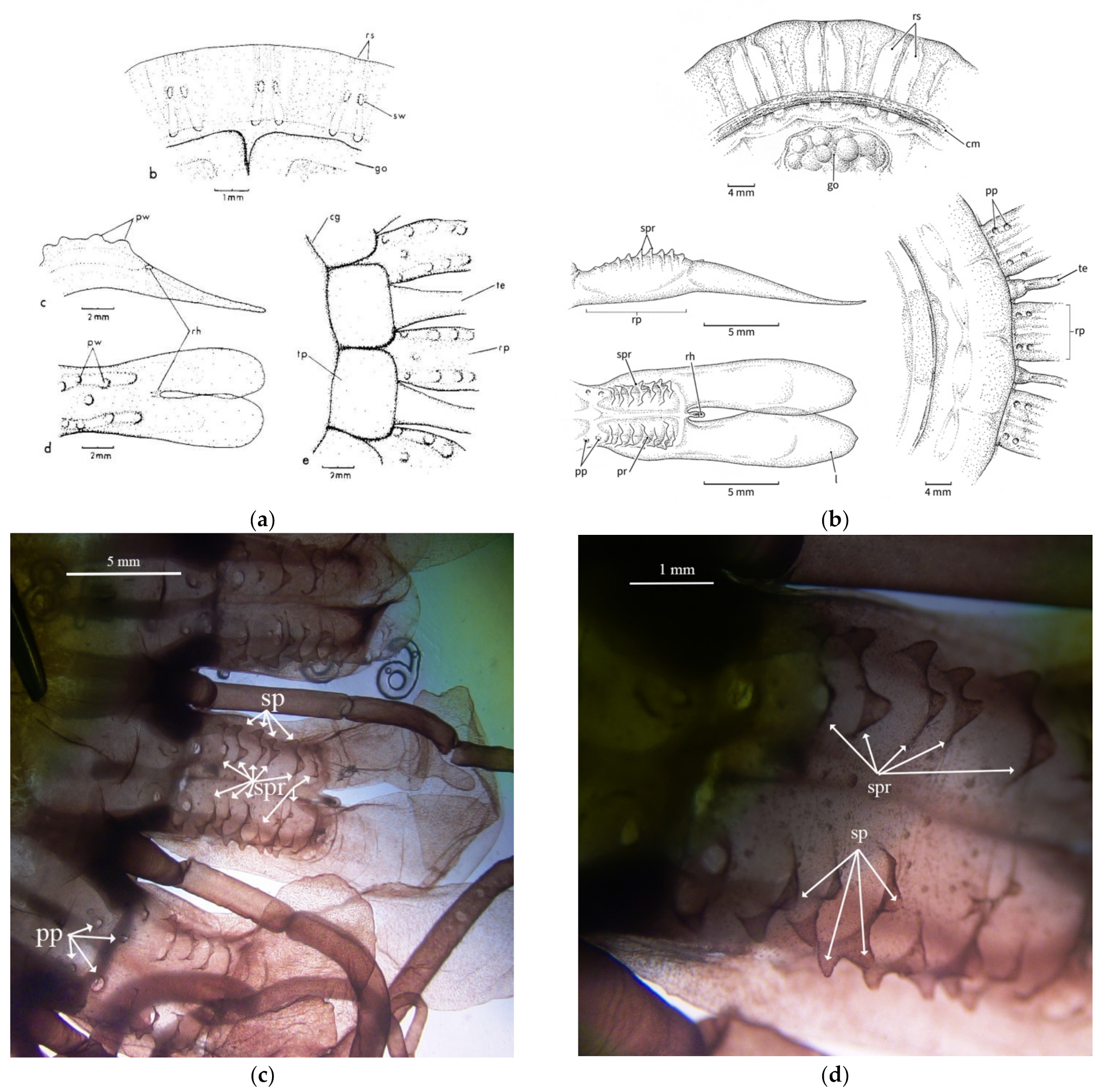 Animals 12 00742 g005