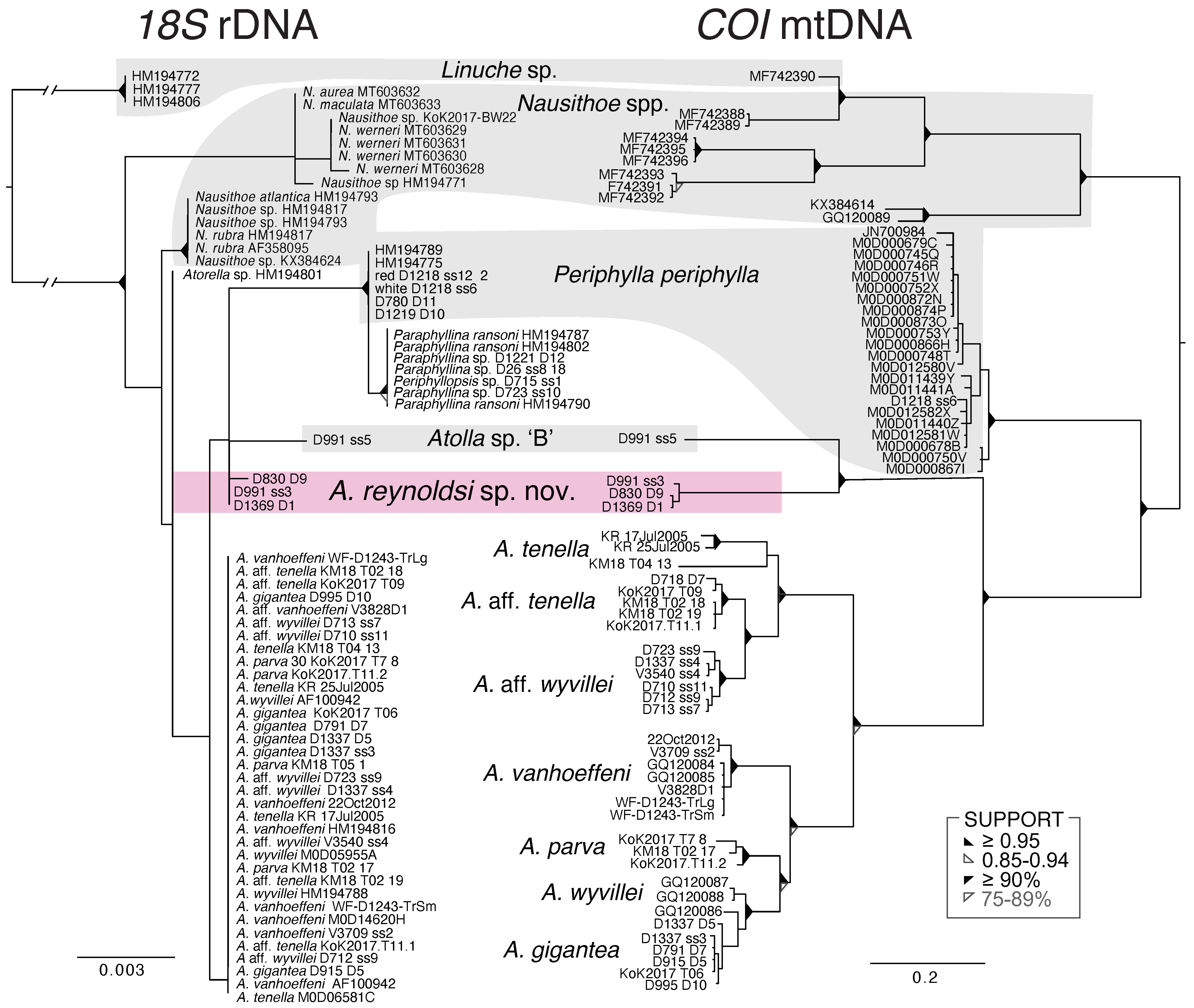Animals 12 00742 g008