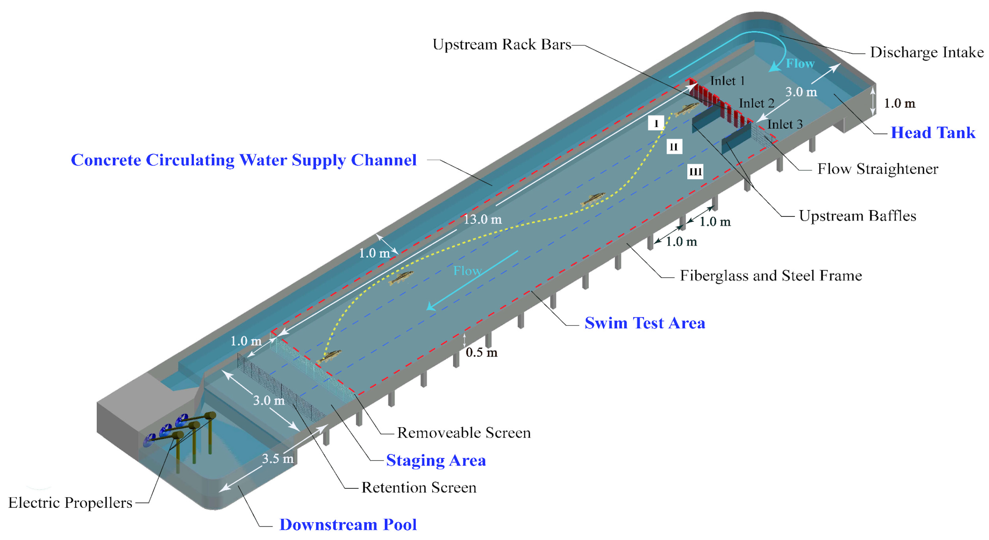 Animals 12 00752 g001