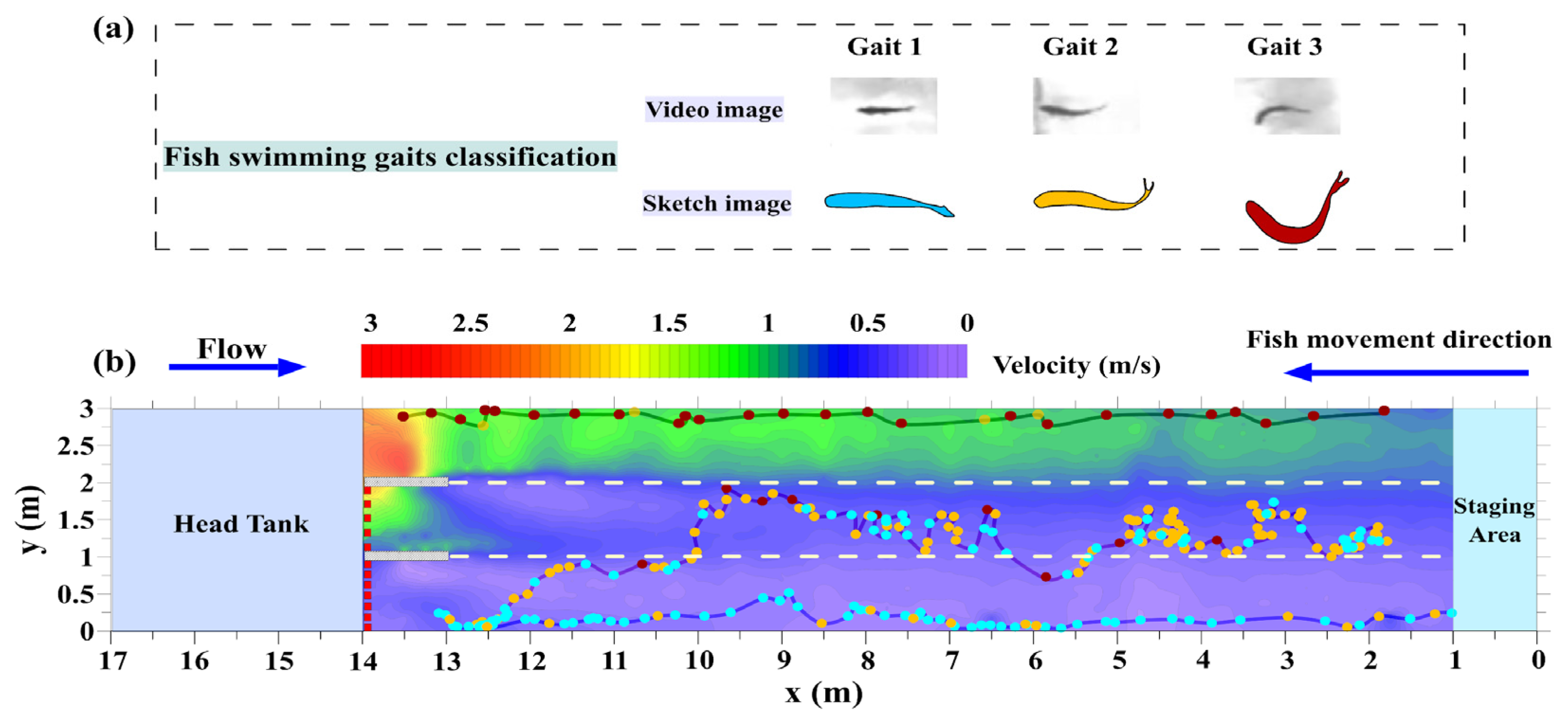 Animals 12 00752 g005