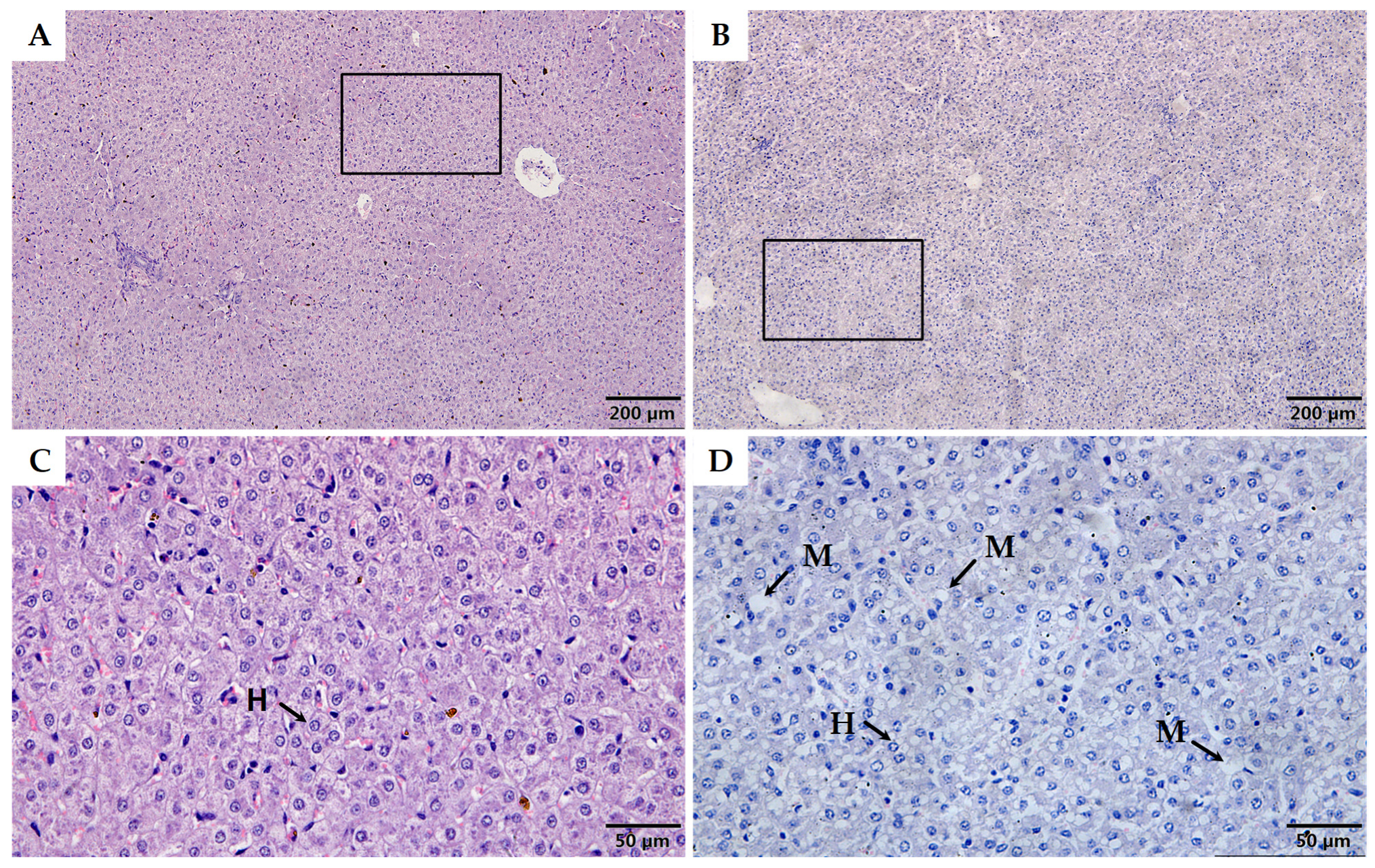Animals 12 00766 g001