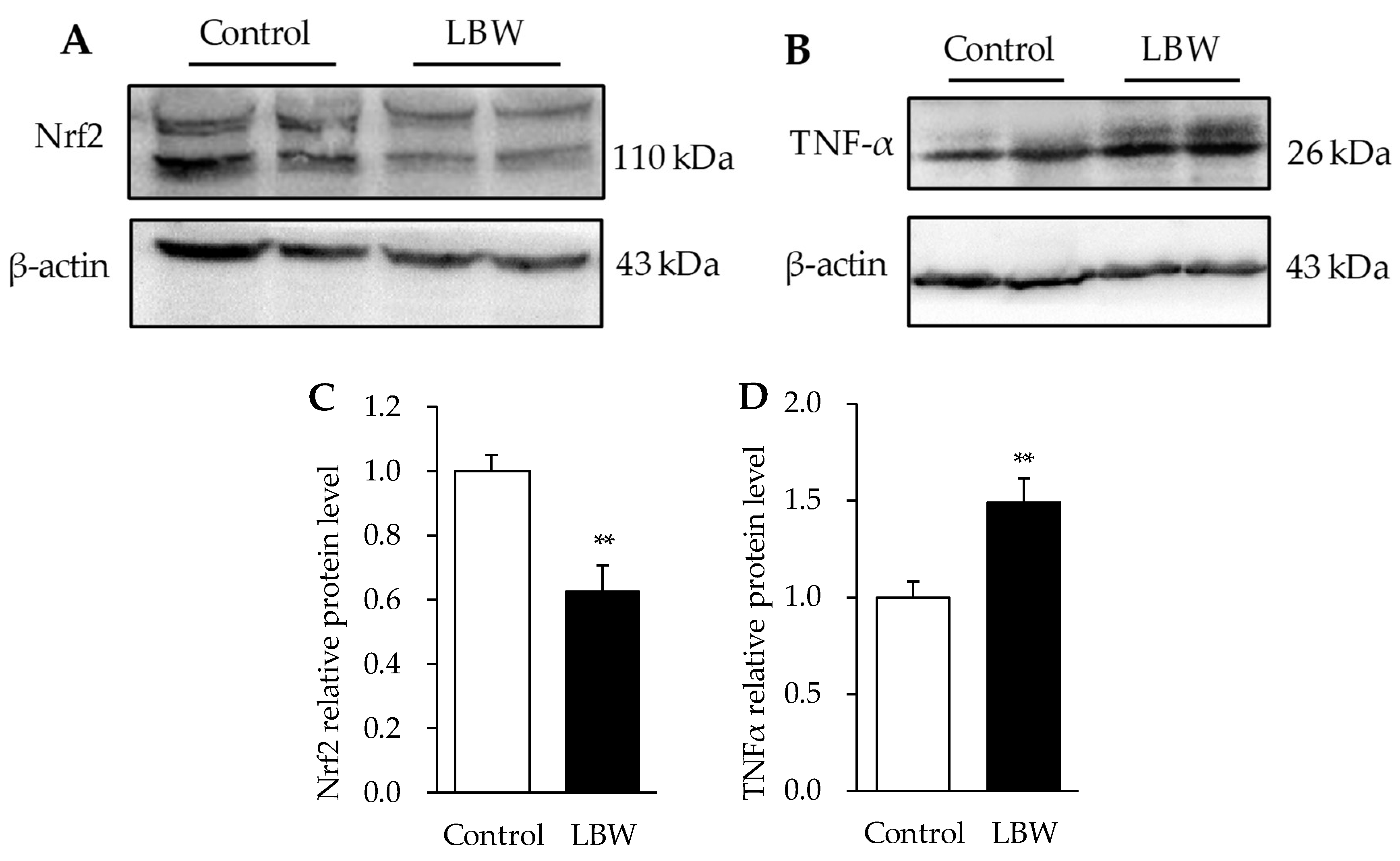 Animals 12 00766 g008