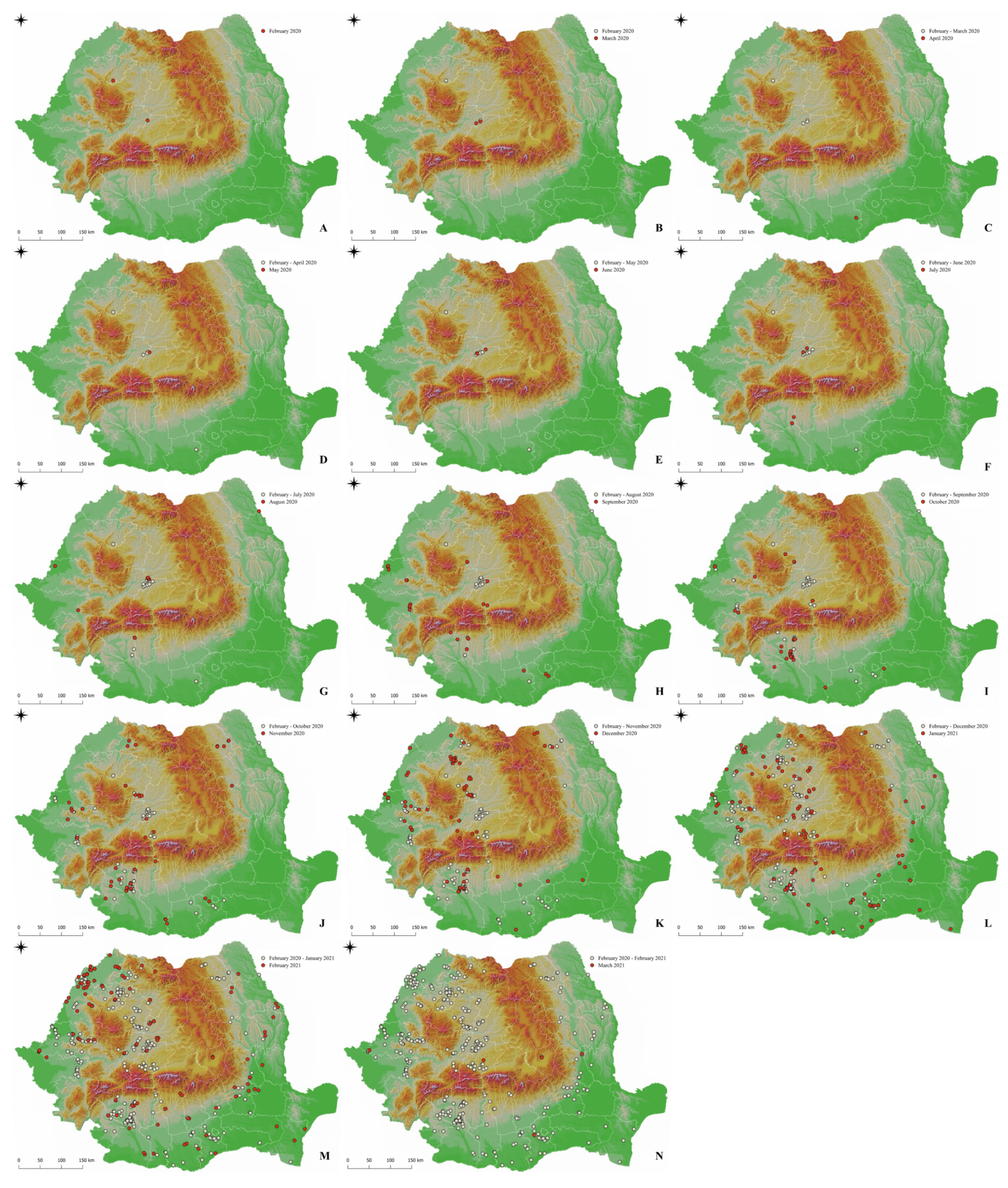 Animals 12 00781 g002