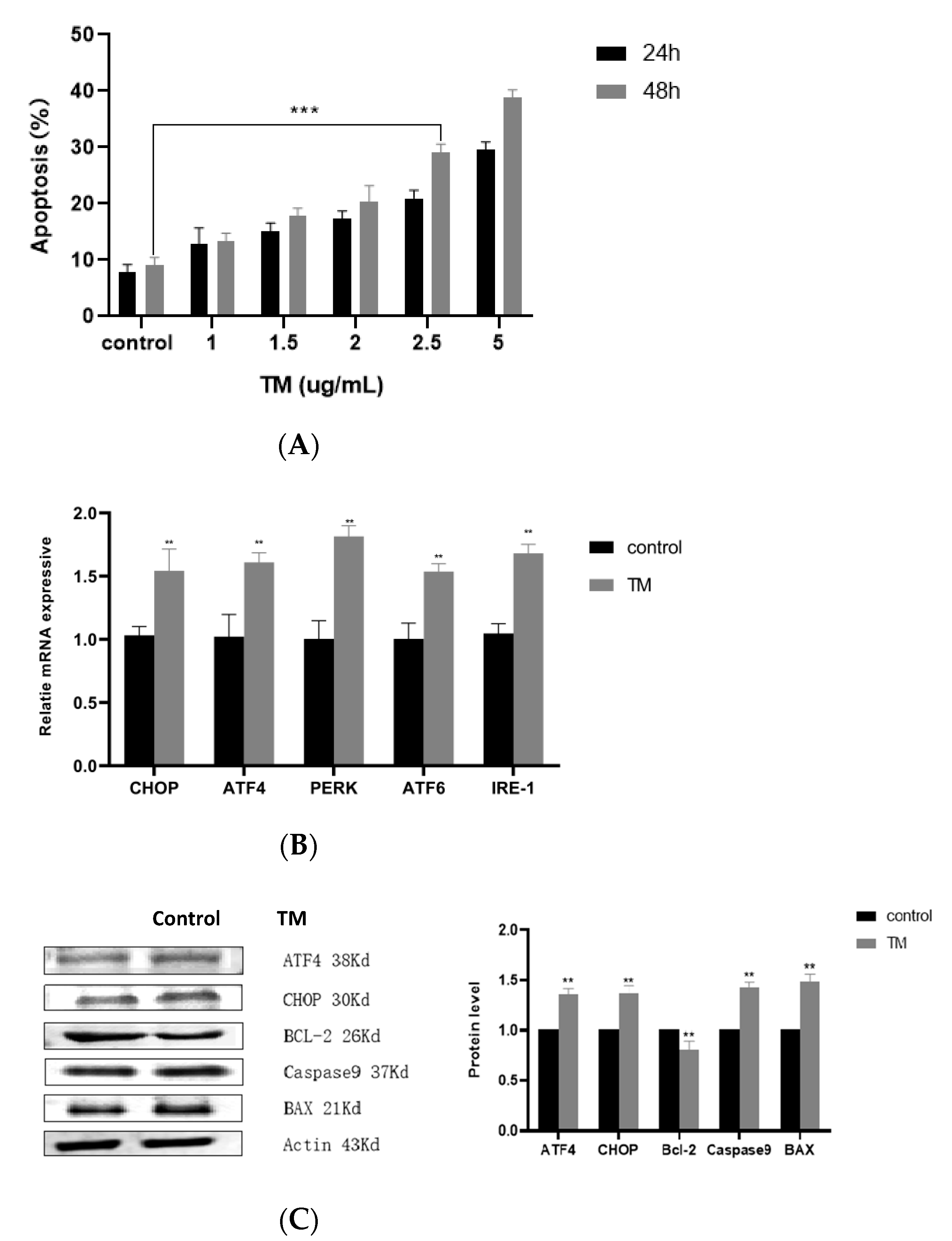 Animals 12 00787 g002