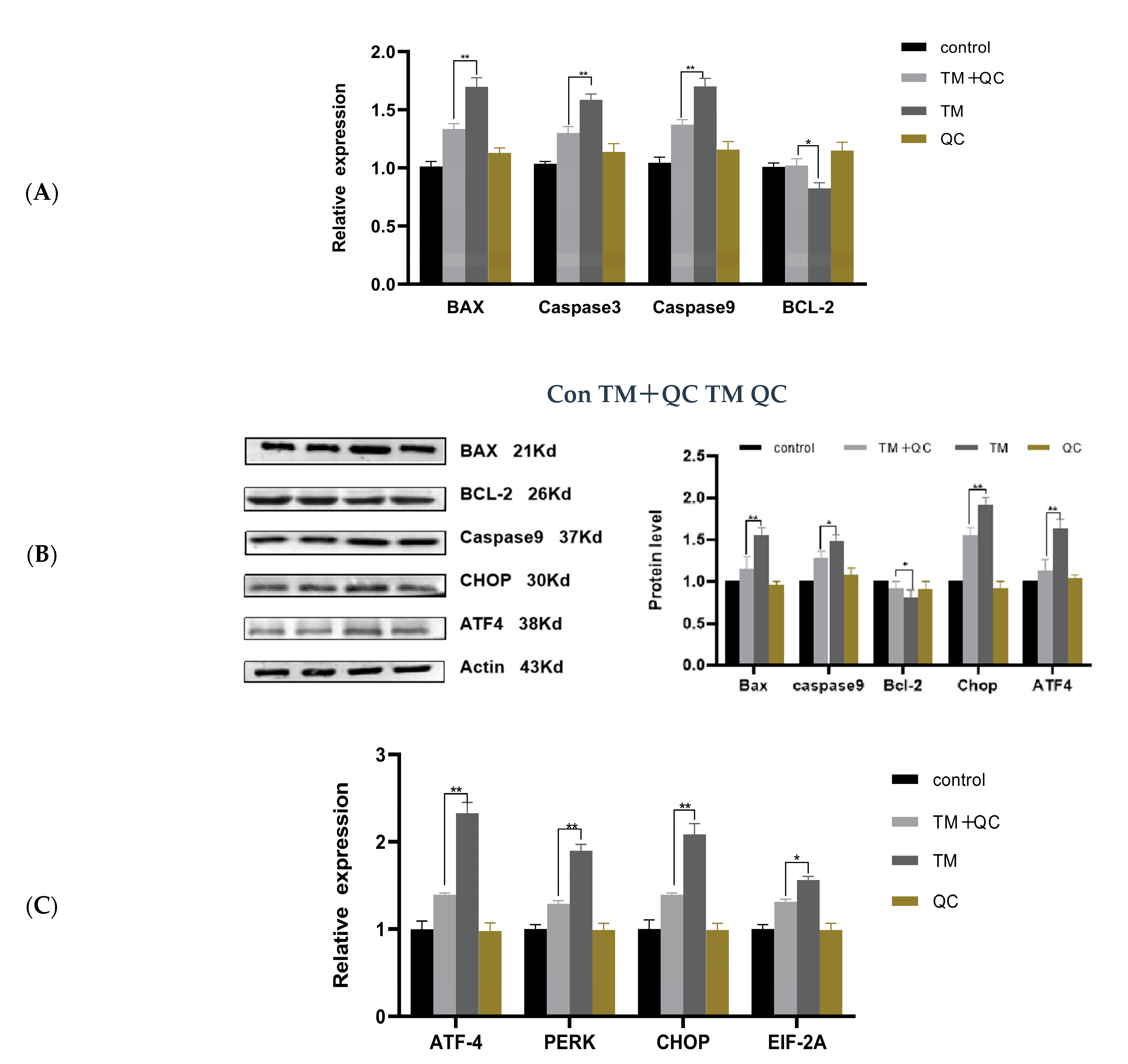 Animals 12 00787 g004