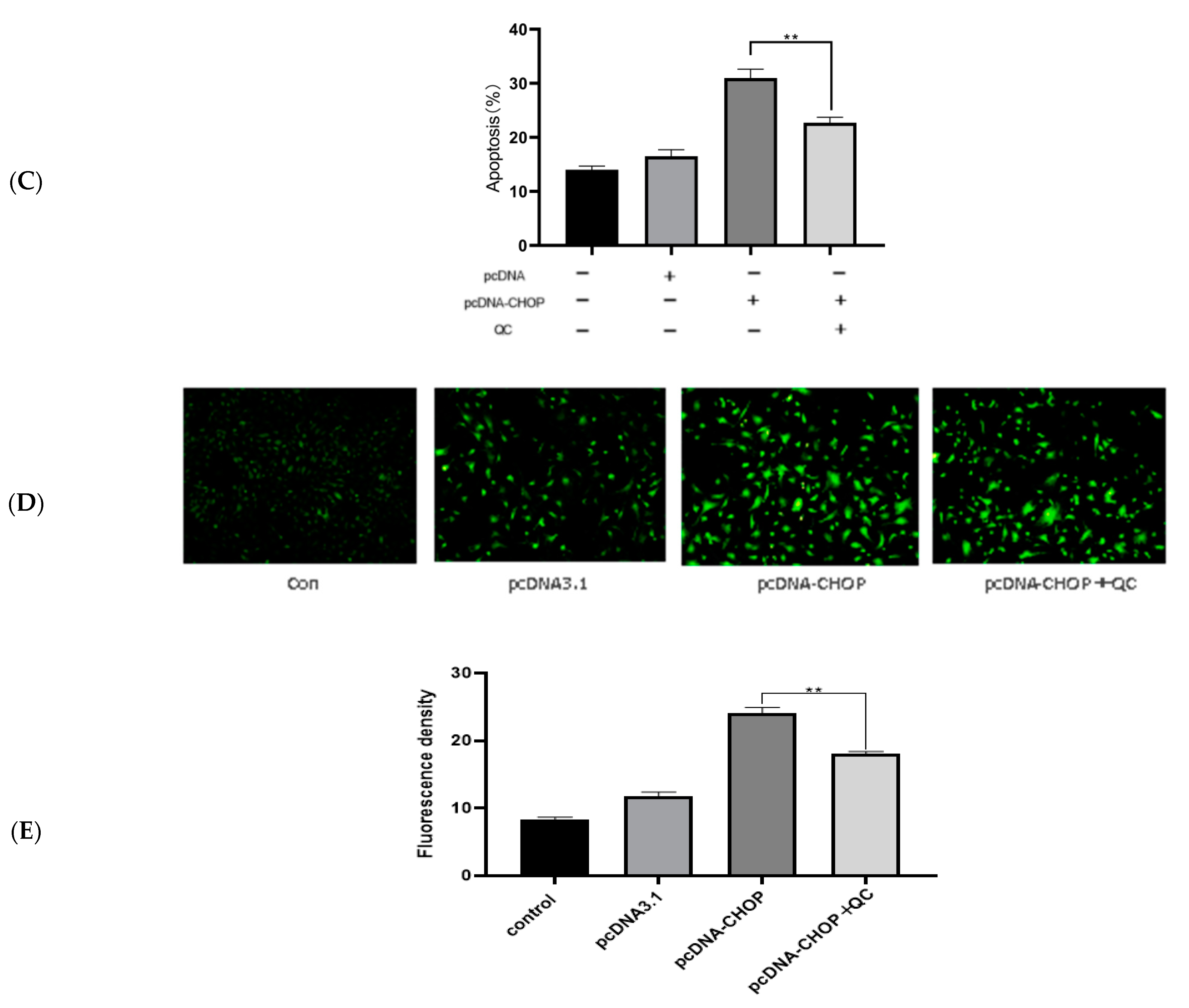 Animals 12 00787 g005b