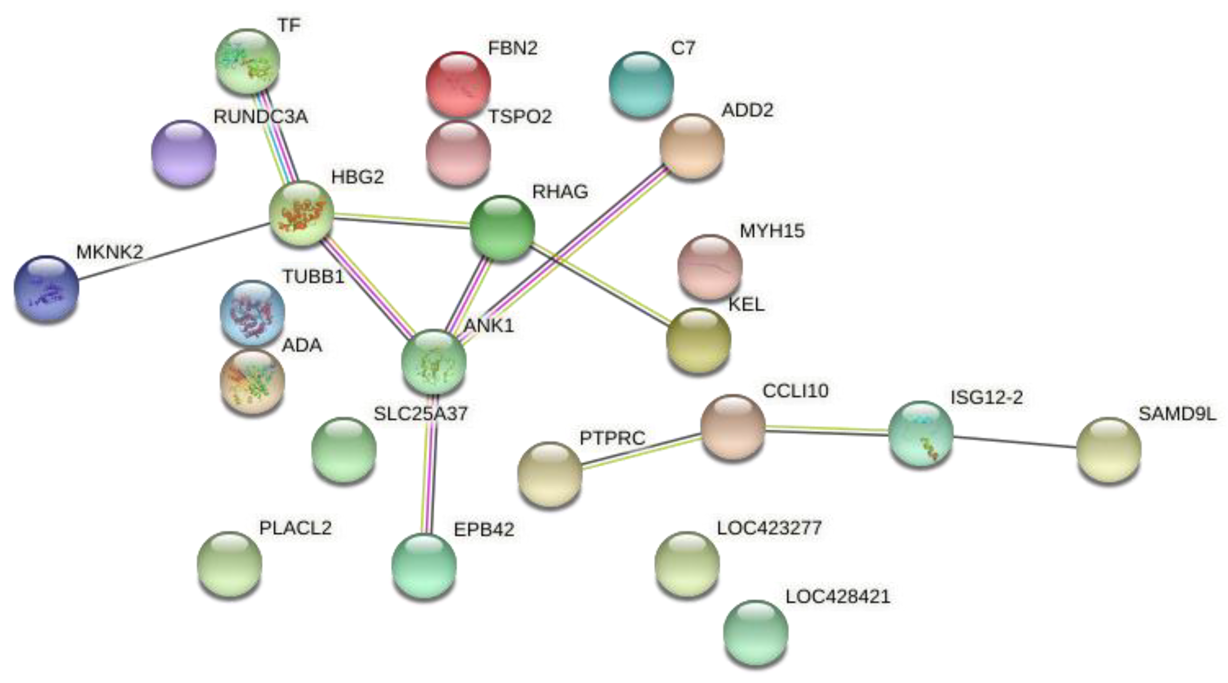 Animals 12 00788 g002