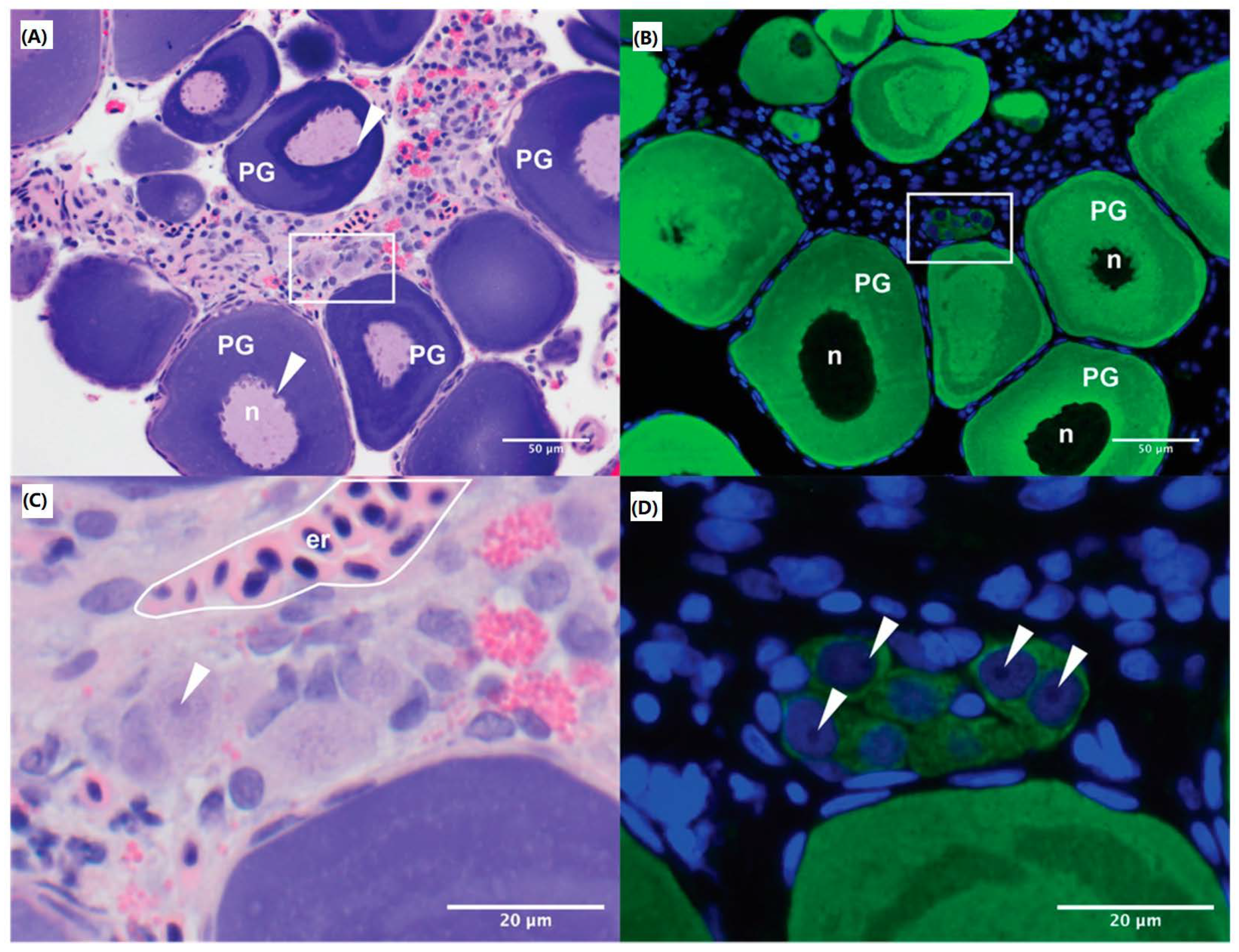 Animals 12 00794 g001