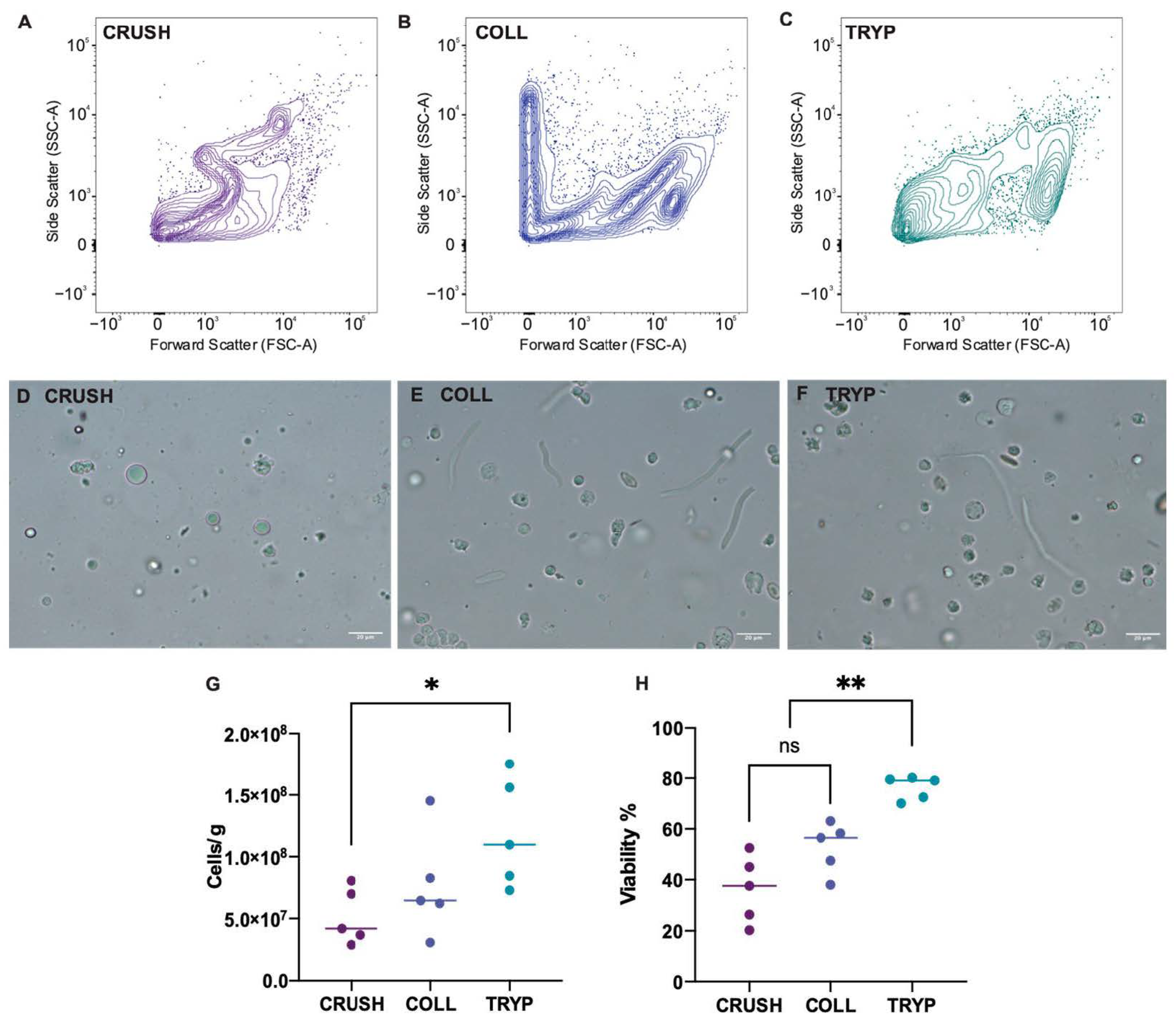 Animals 12 00794 g002