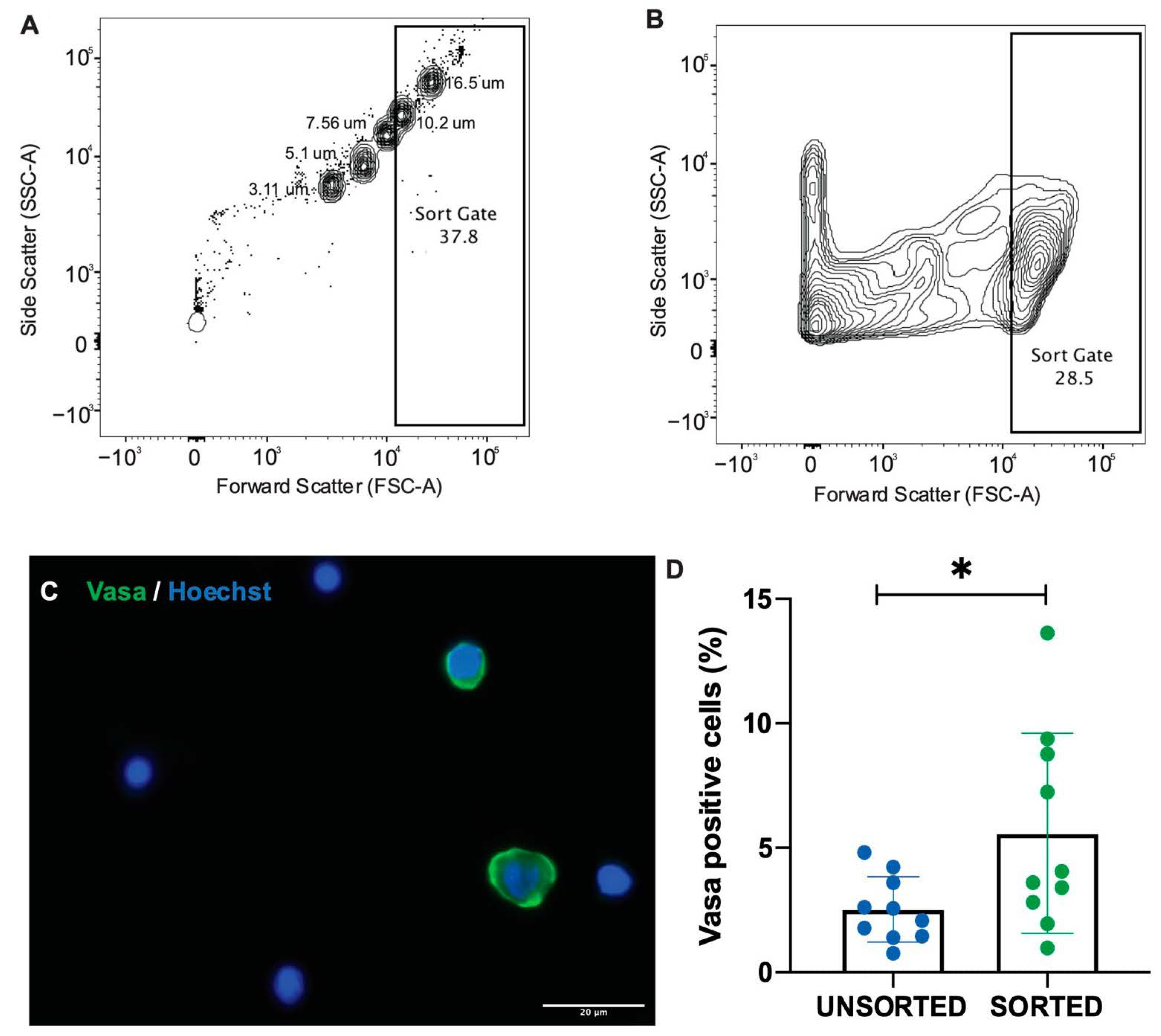 Animals 12 00794 g003