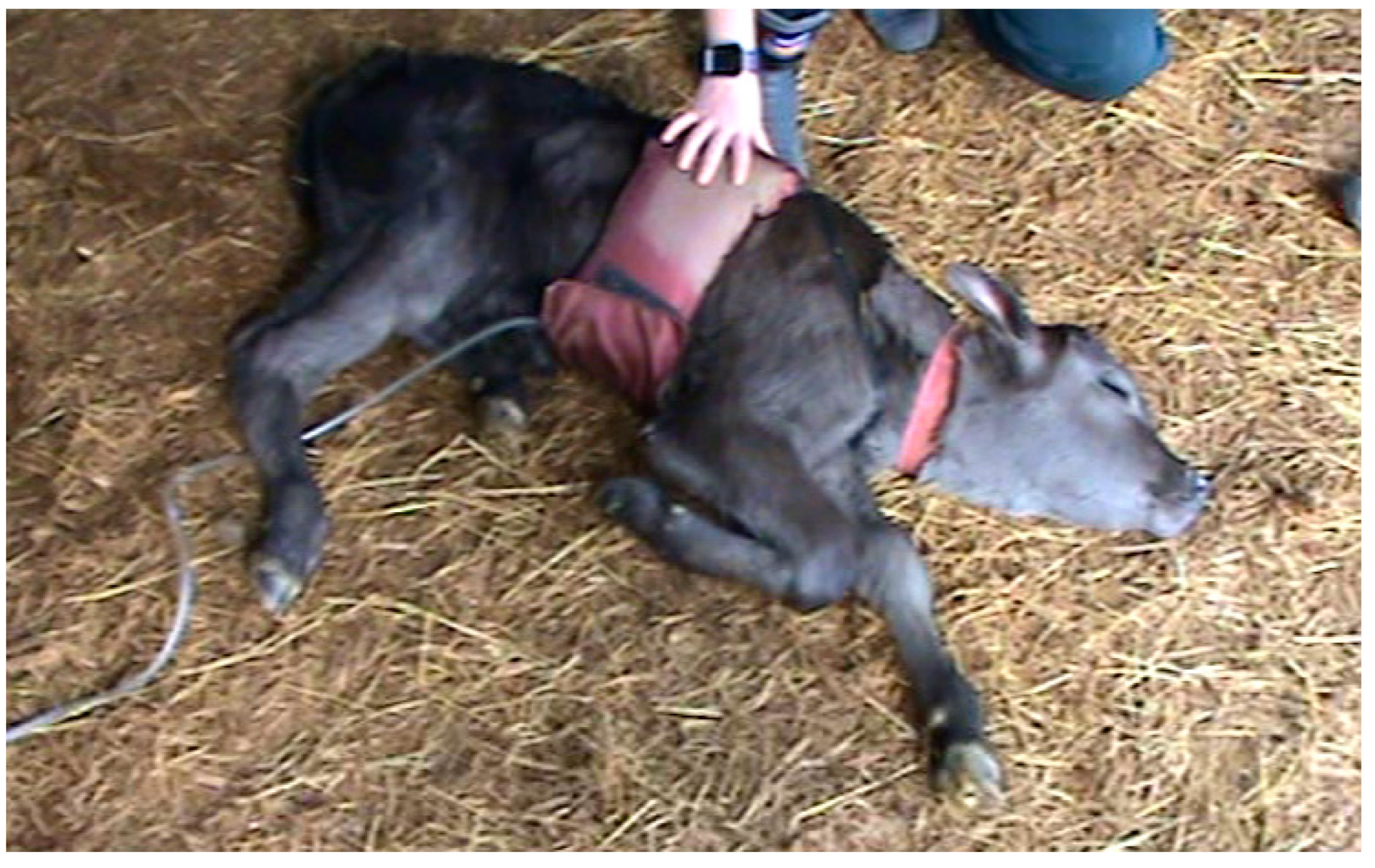 Animals 12 00840 g002 Animals 12 00840 g002