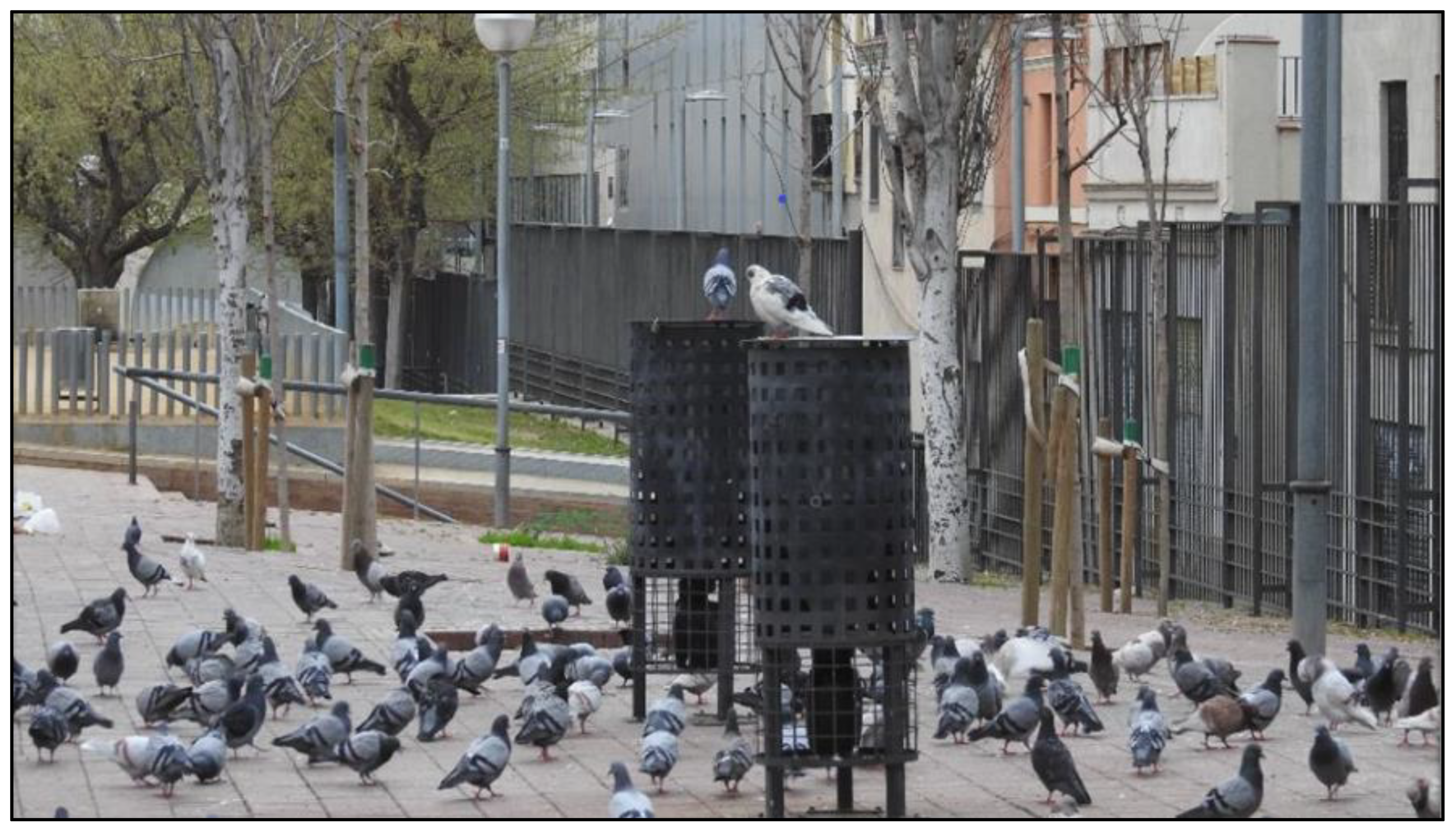 Animals 12 00856 g002 Animals 12 00856 g002