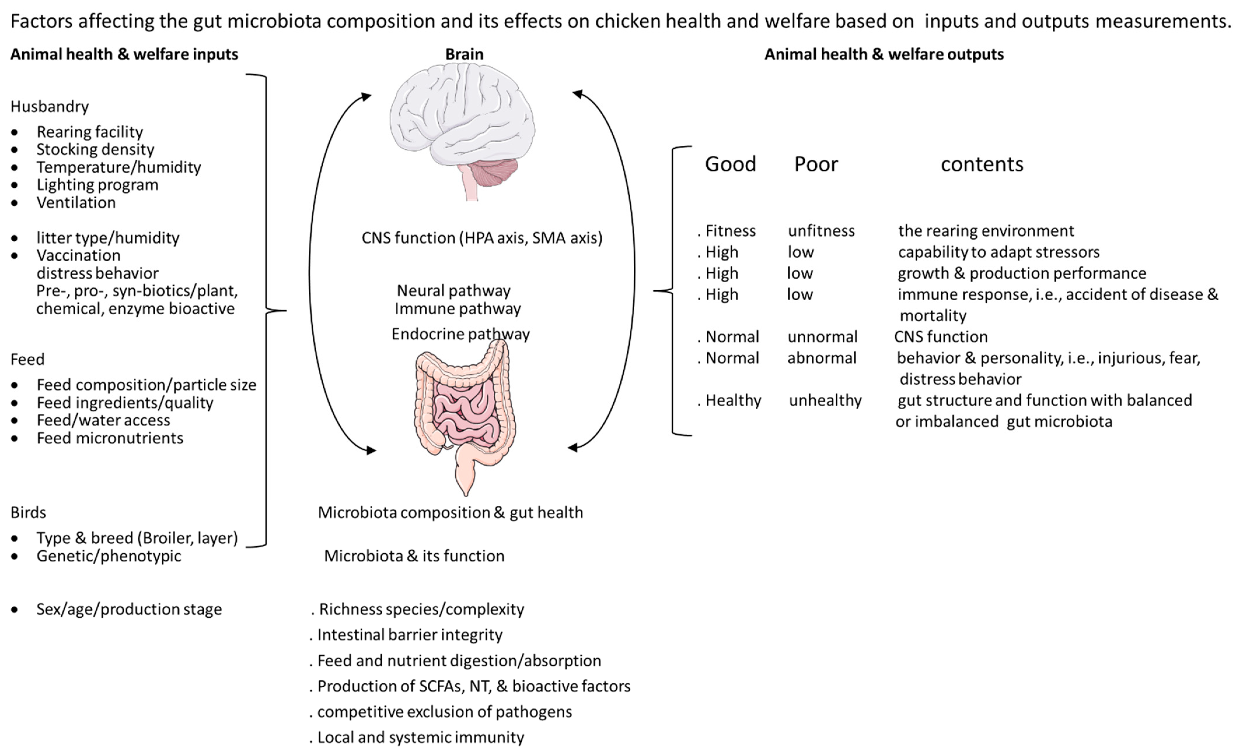 Animals 12 00870 g002