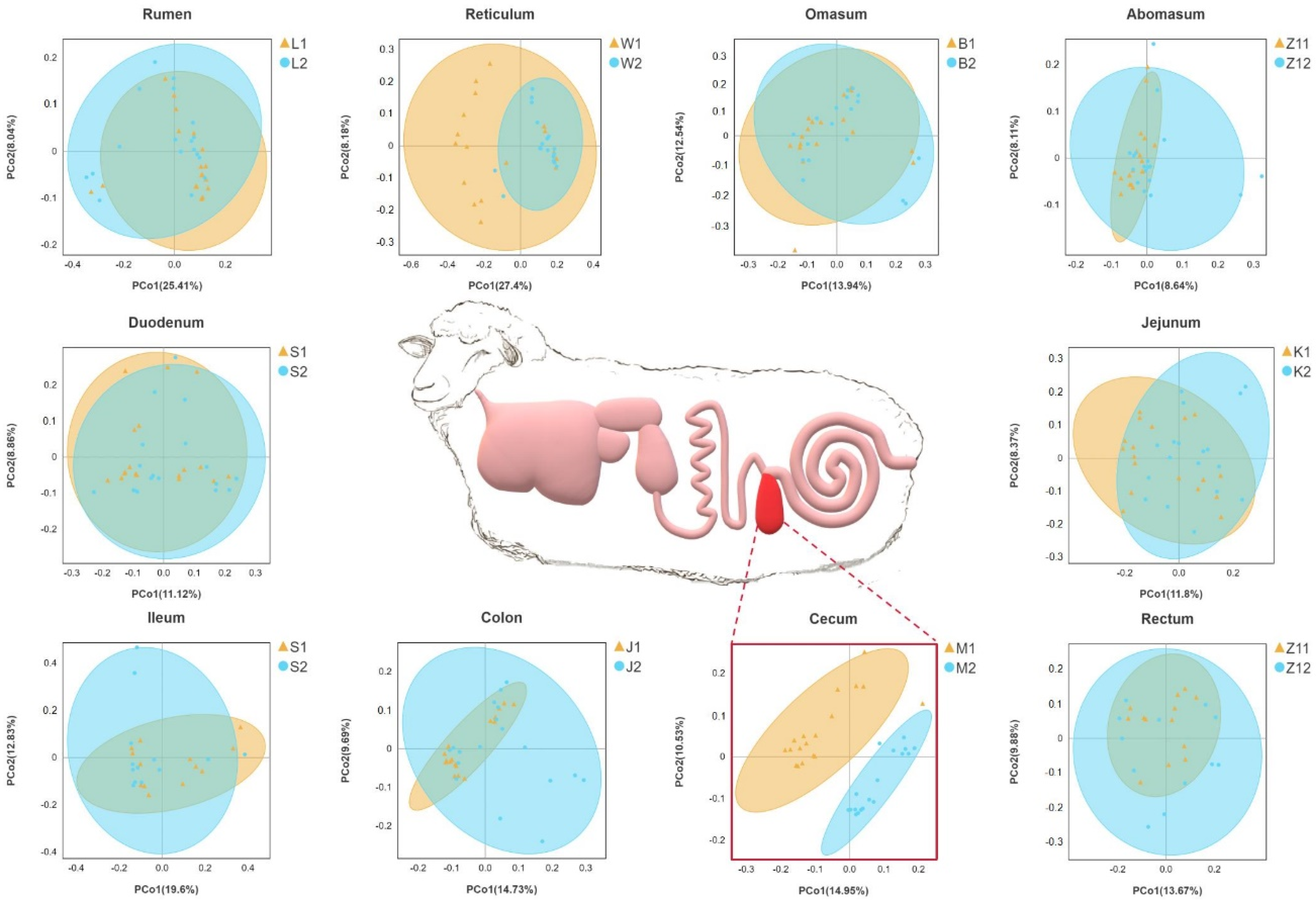 Animals 12 00880 g001