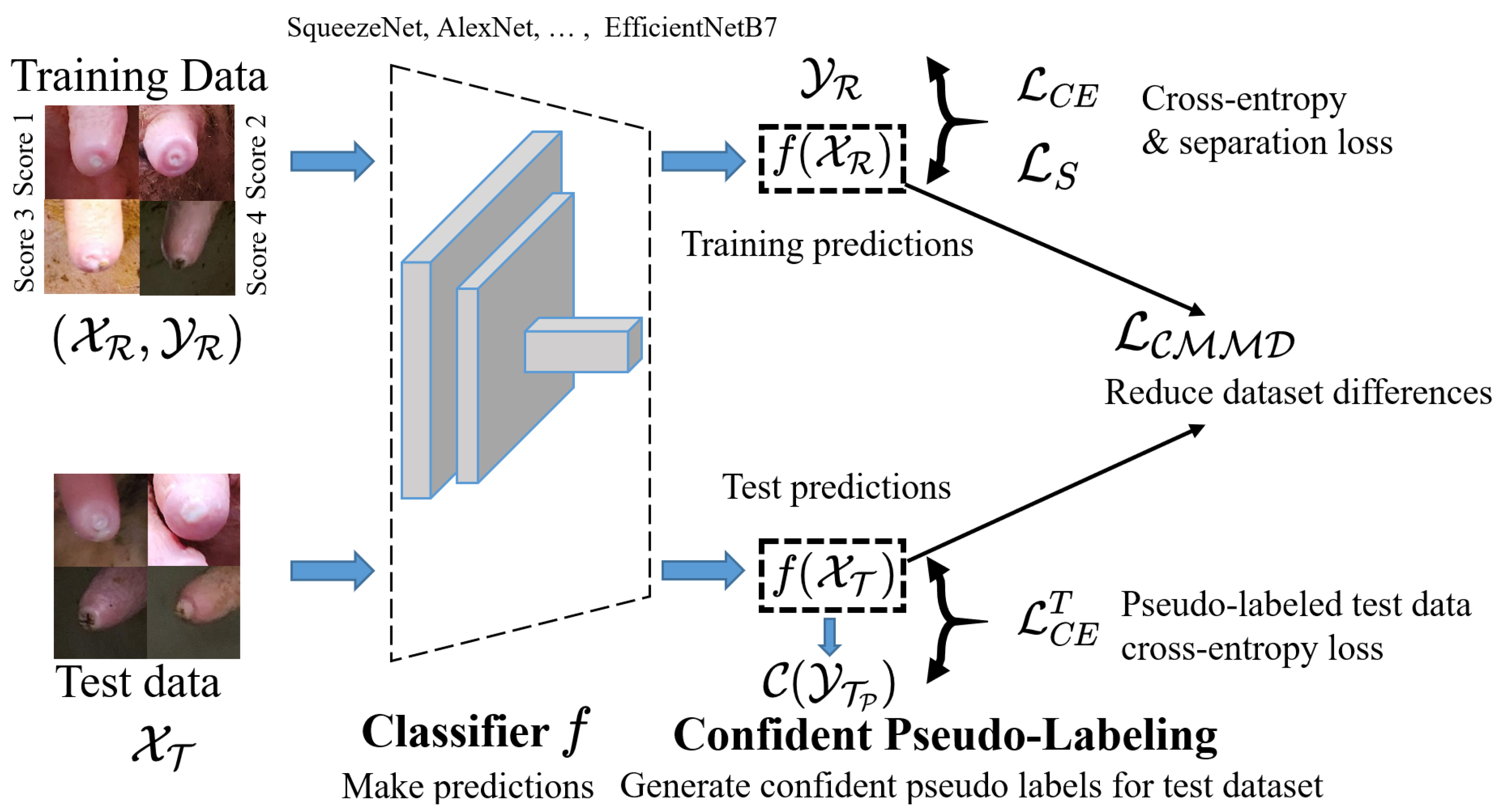 Animals 12 00886 g002