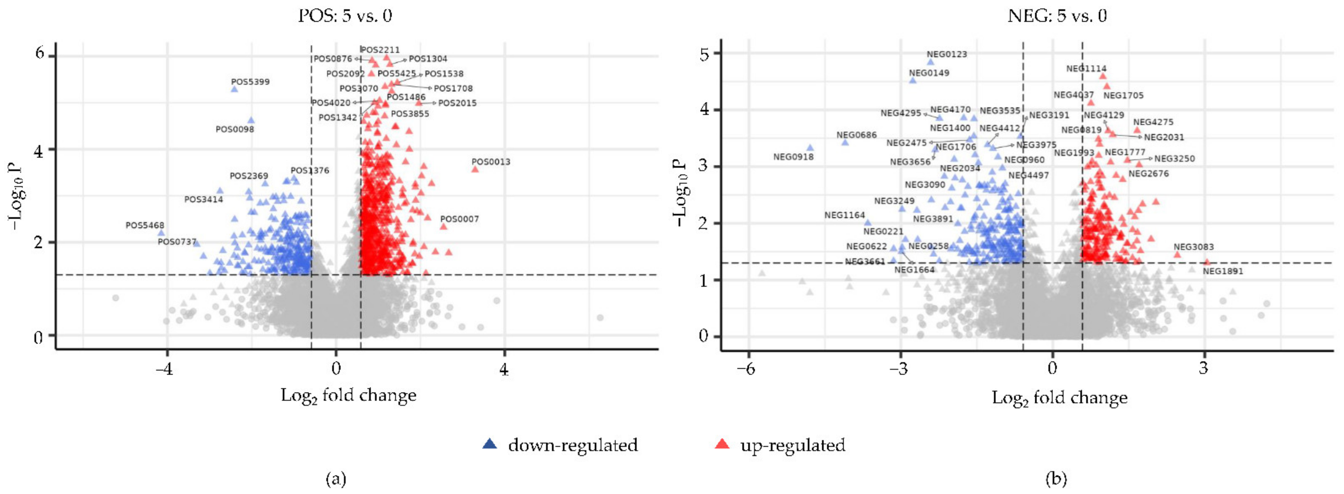 Animals 12 00890 g005