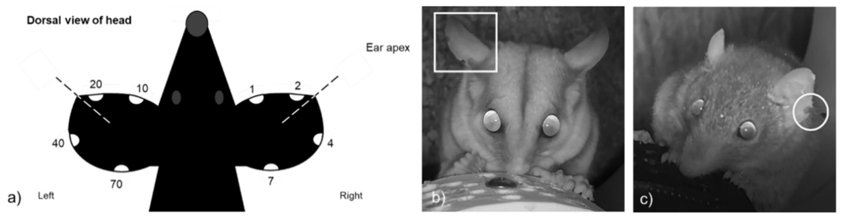 Animals 12 00912 g002