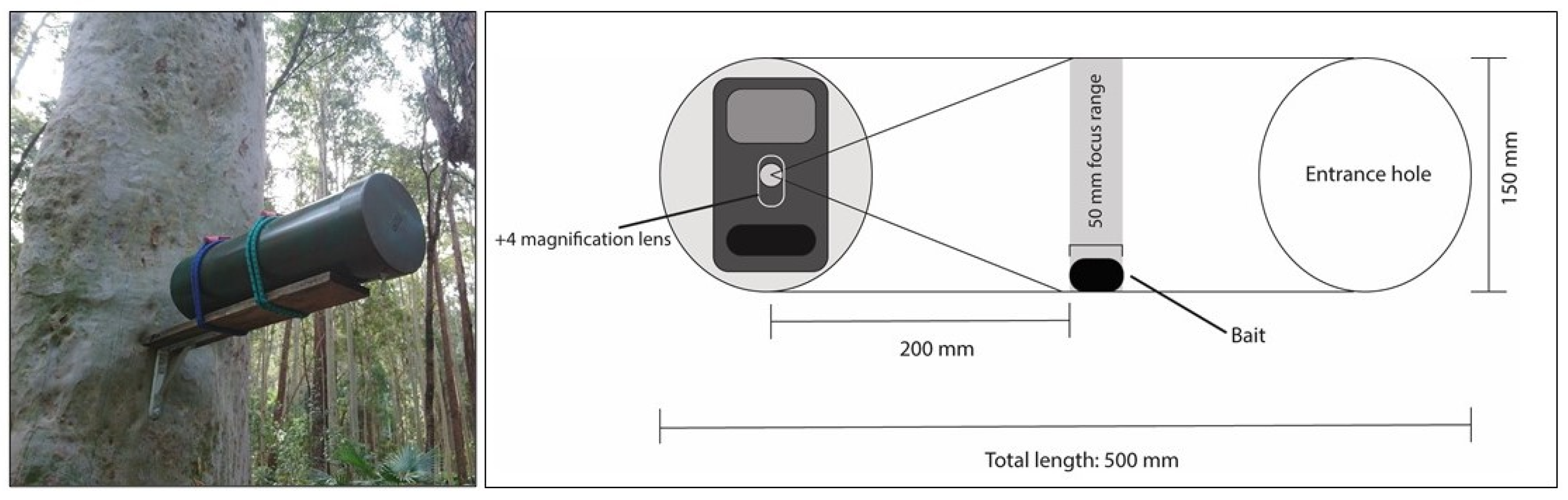 Animals 12 00912 g003