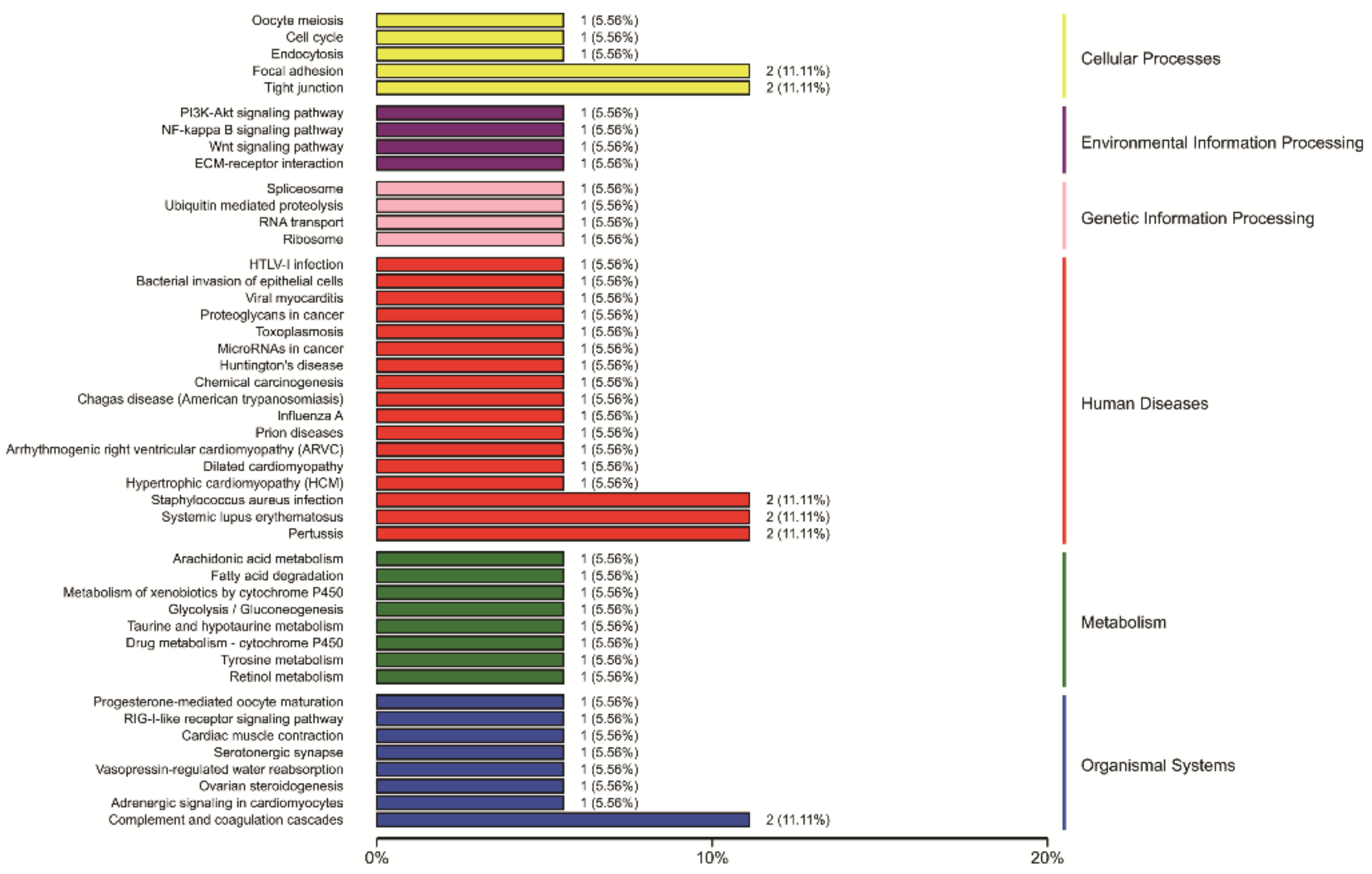 Animals 12 00934 g010