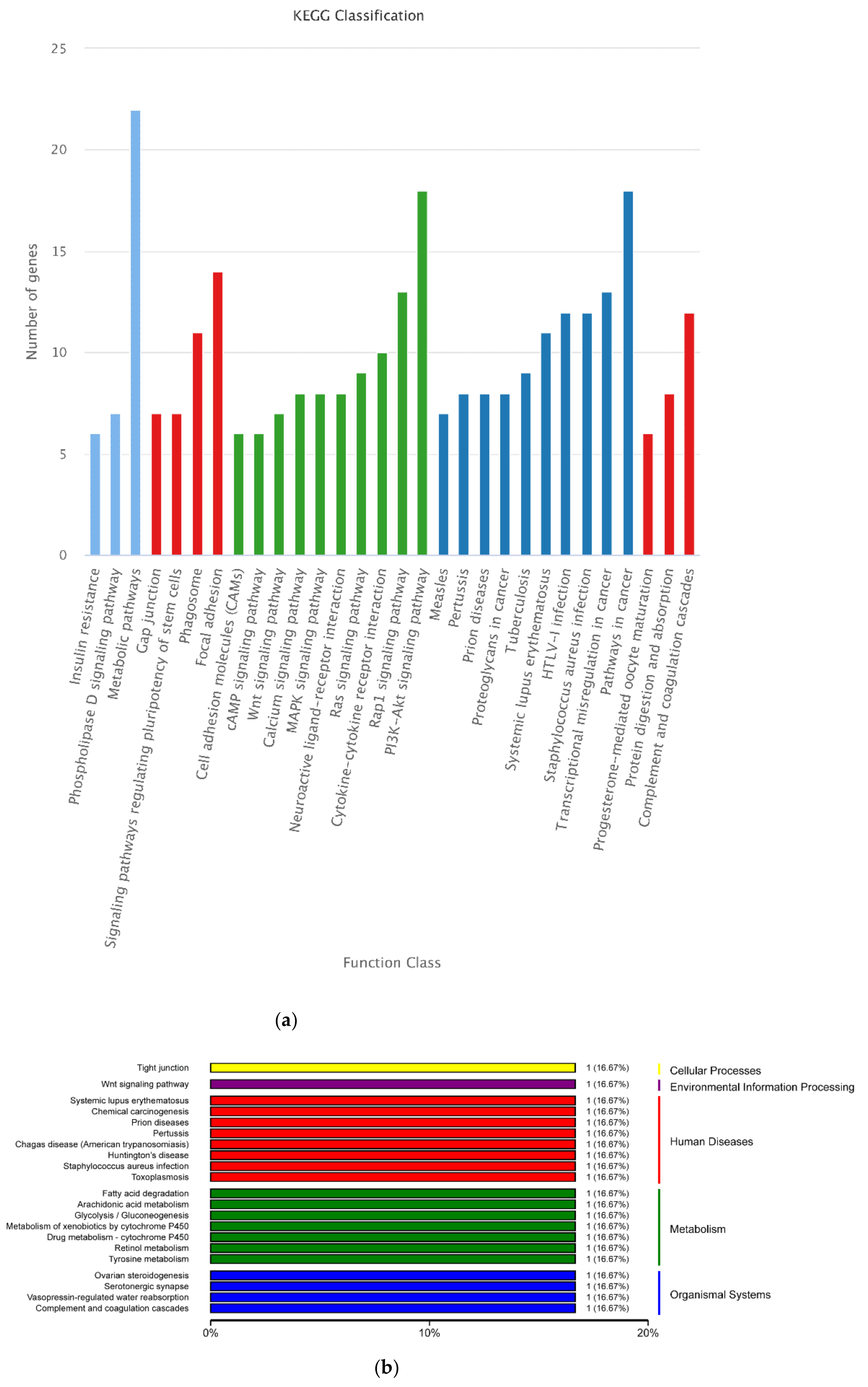 Animals 12 00934 g012