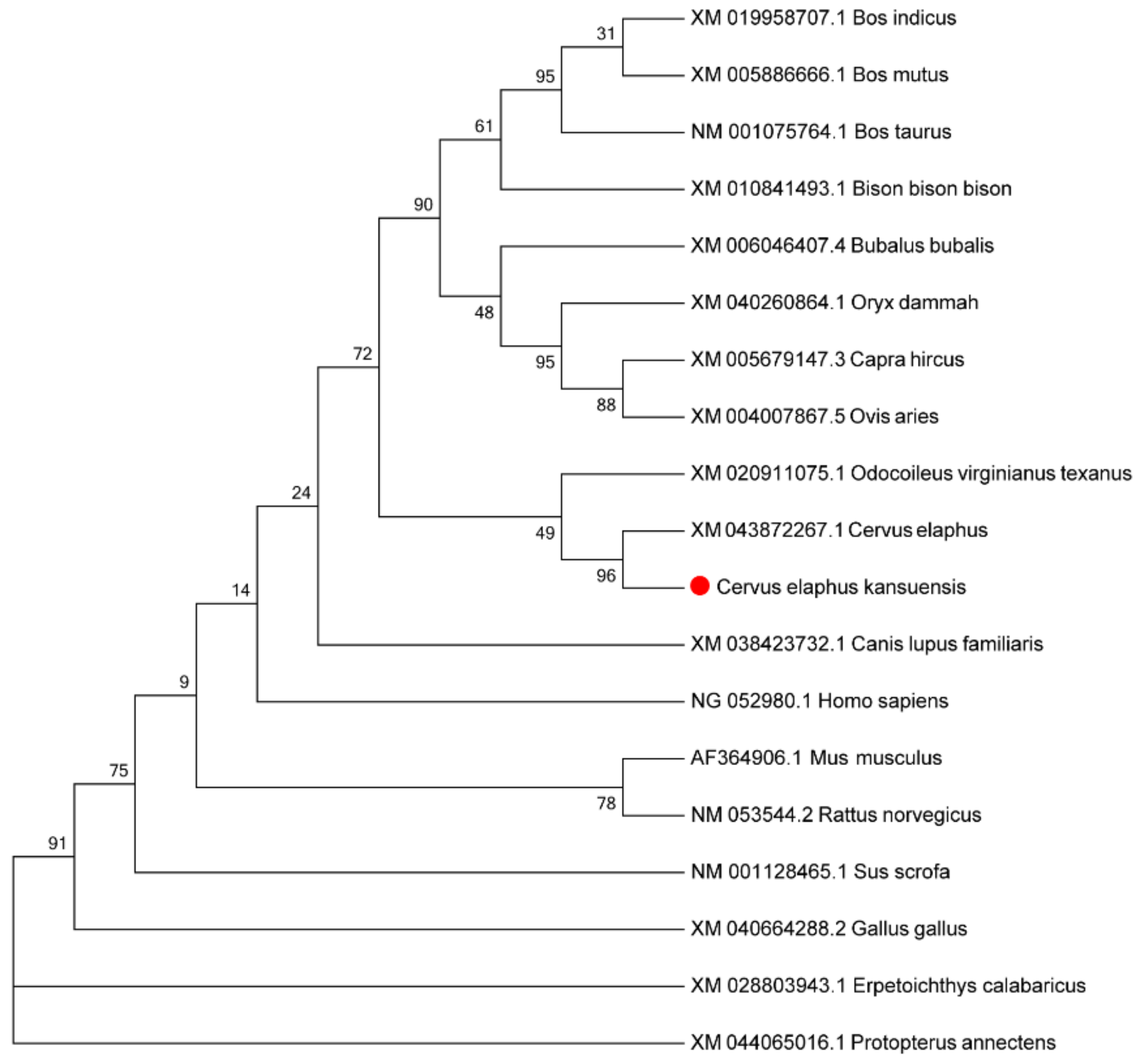 Animals 12 00934 g015