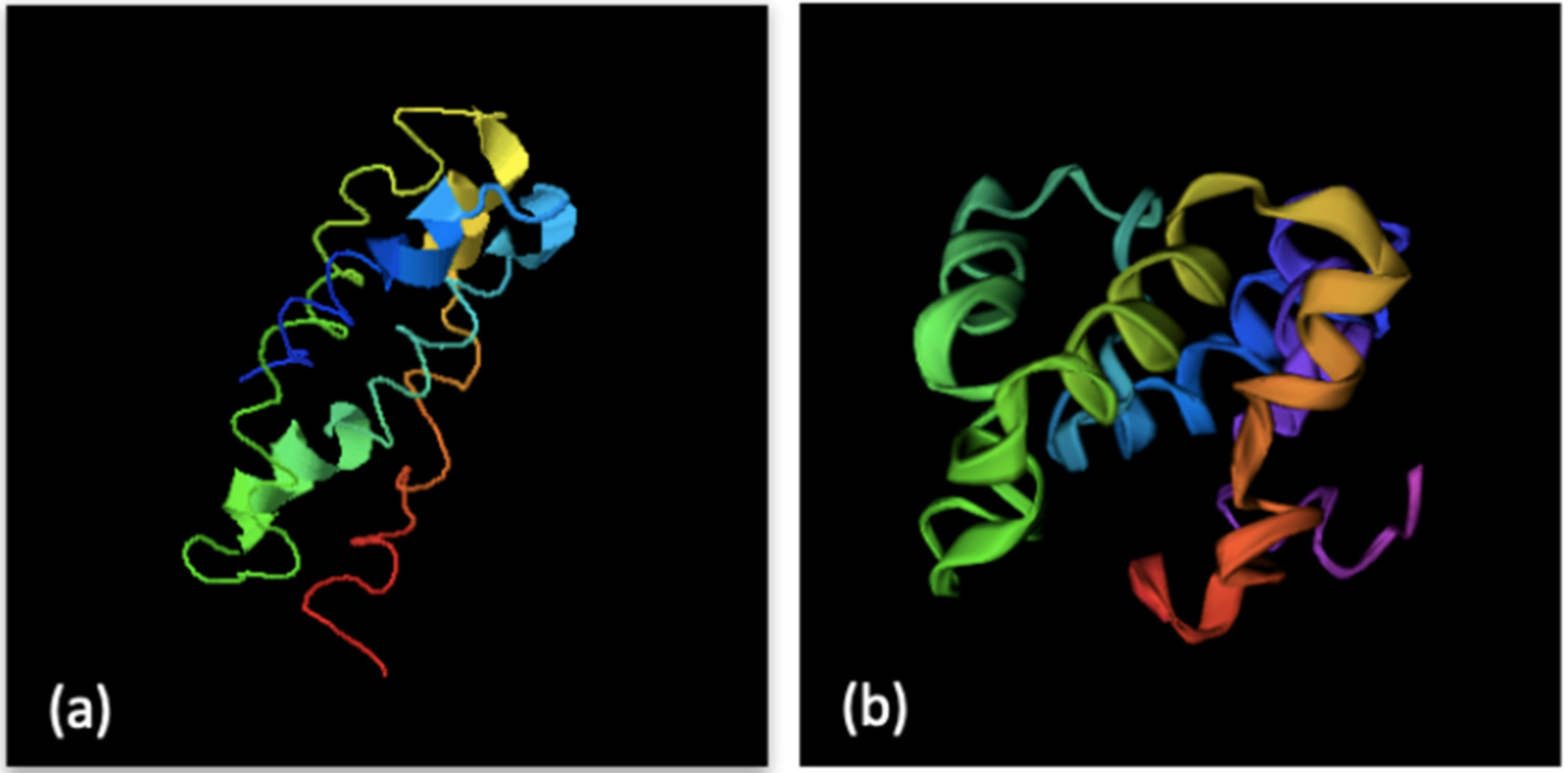 Animals 12 00935 g004